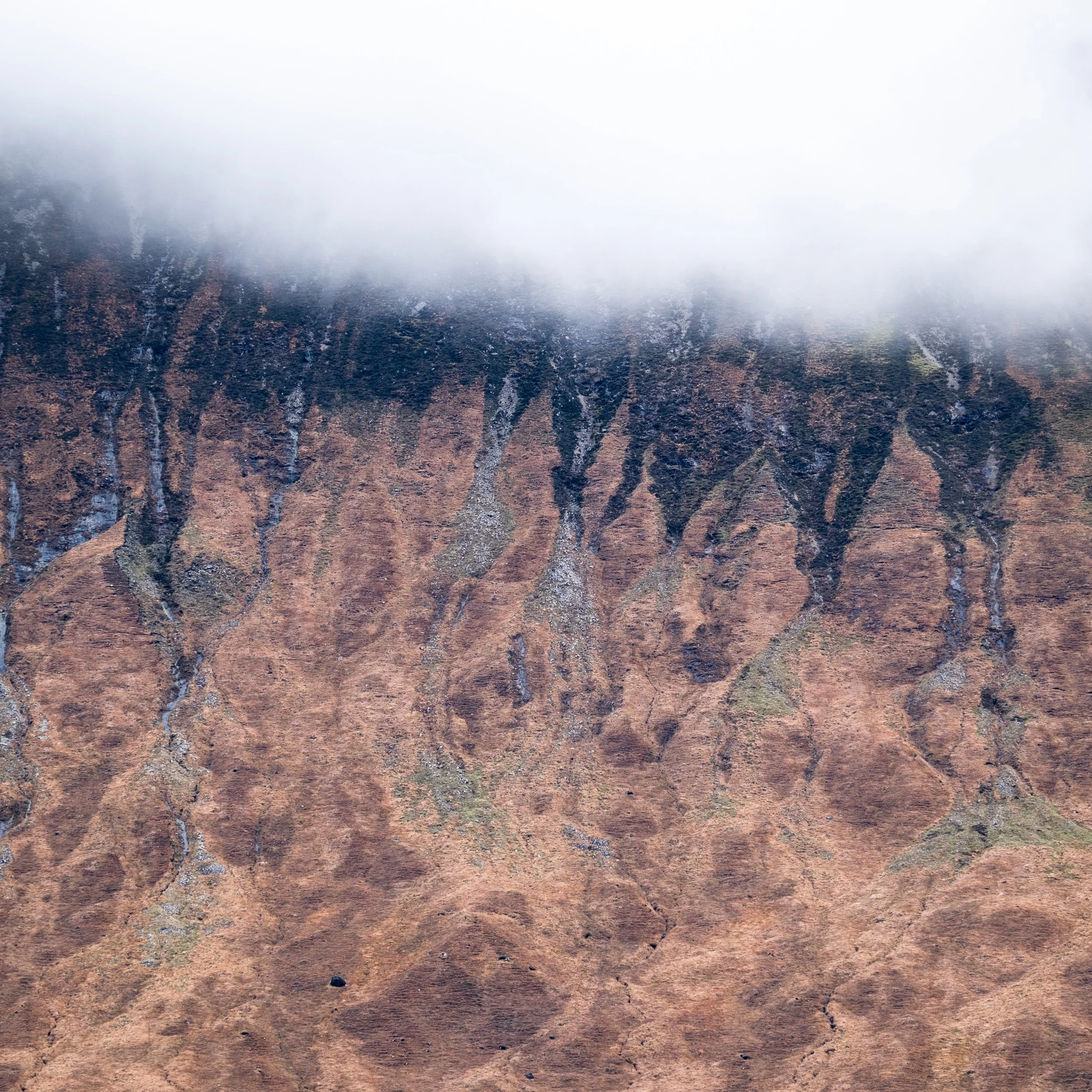 20241028-154544-FujifilmX-T5_Blog.jpg