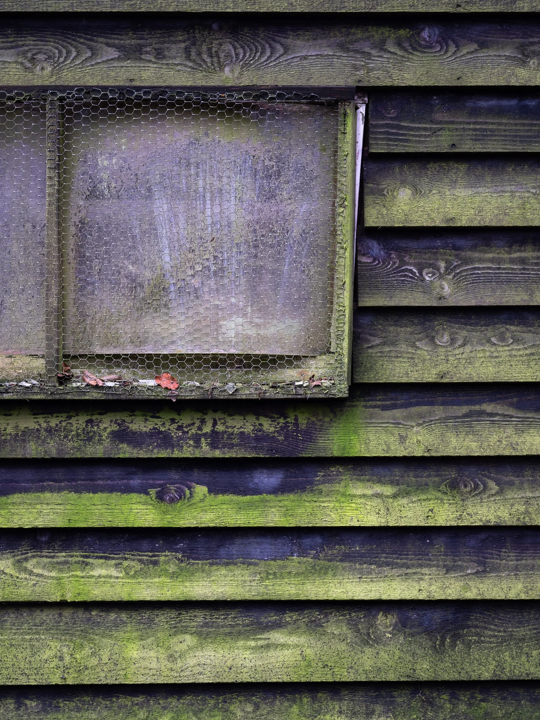 20240106-114529-FujifilmX-T5-P Berghebos NL_Blog.jpg
