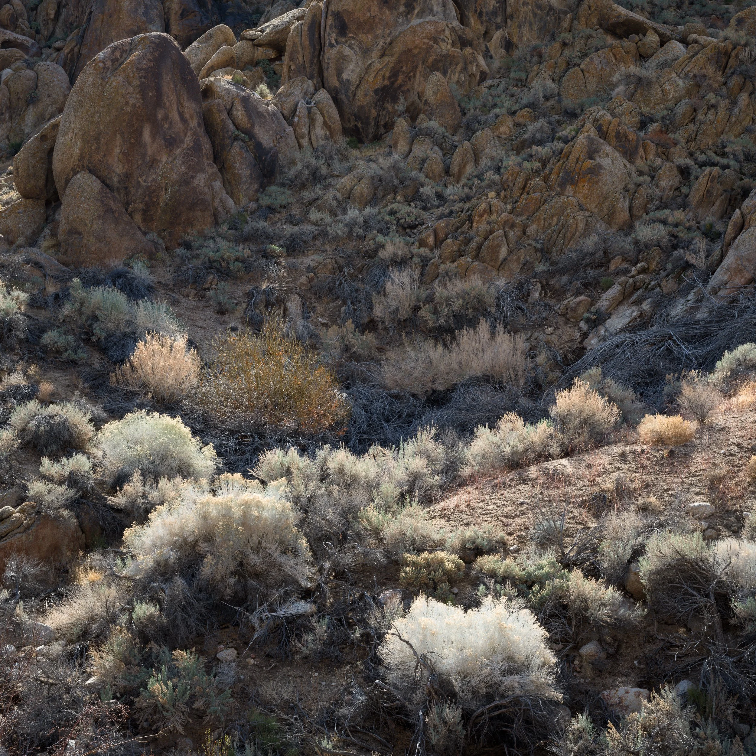 20250215-114518-HasselbladX2D 100C_Blog.jpg