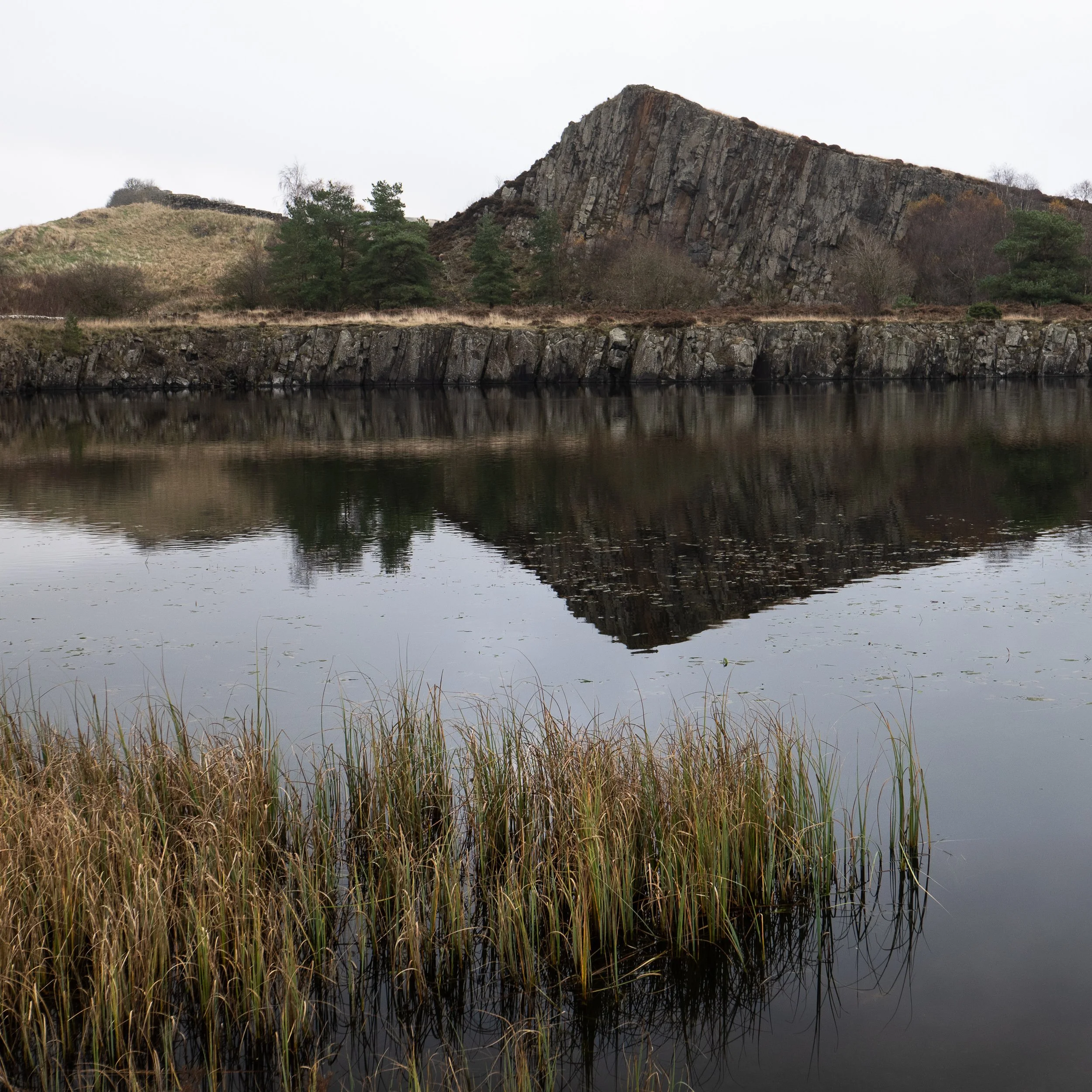 November, Quarry near Hadrian's Wall, England