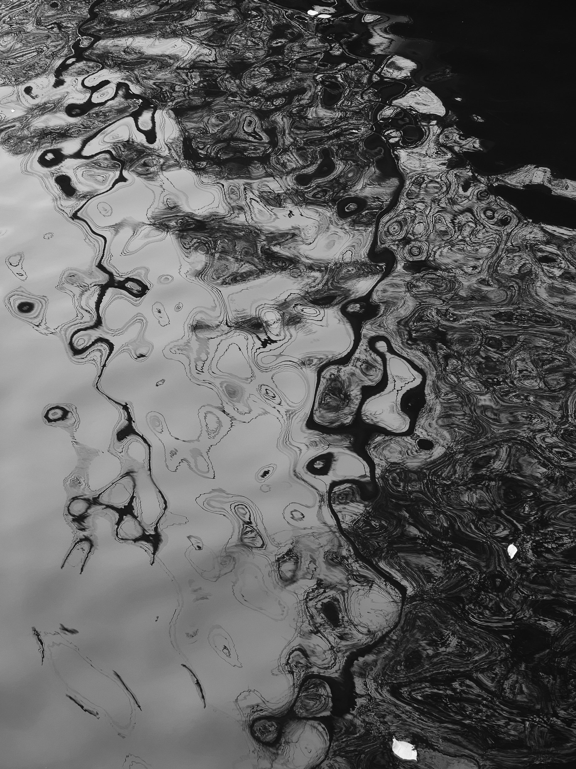 20221028-124225-LeicaLEICA Q2 MONO-Masters_Blog.jpg