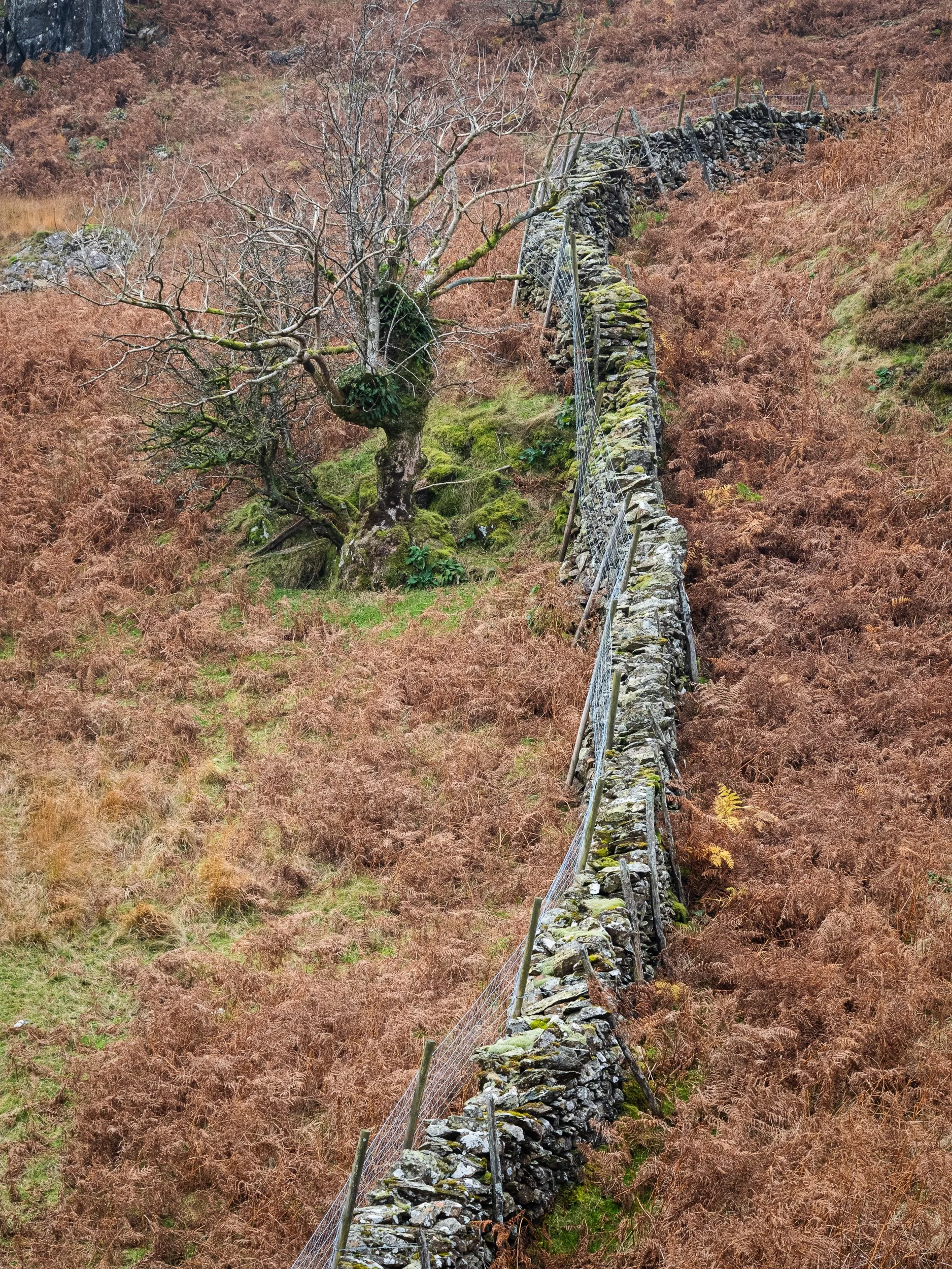 November, Lake District, England