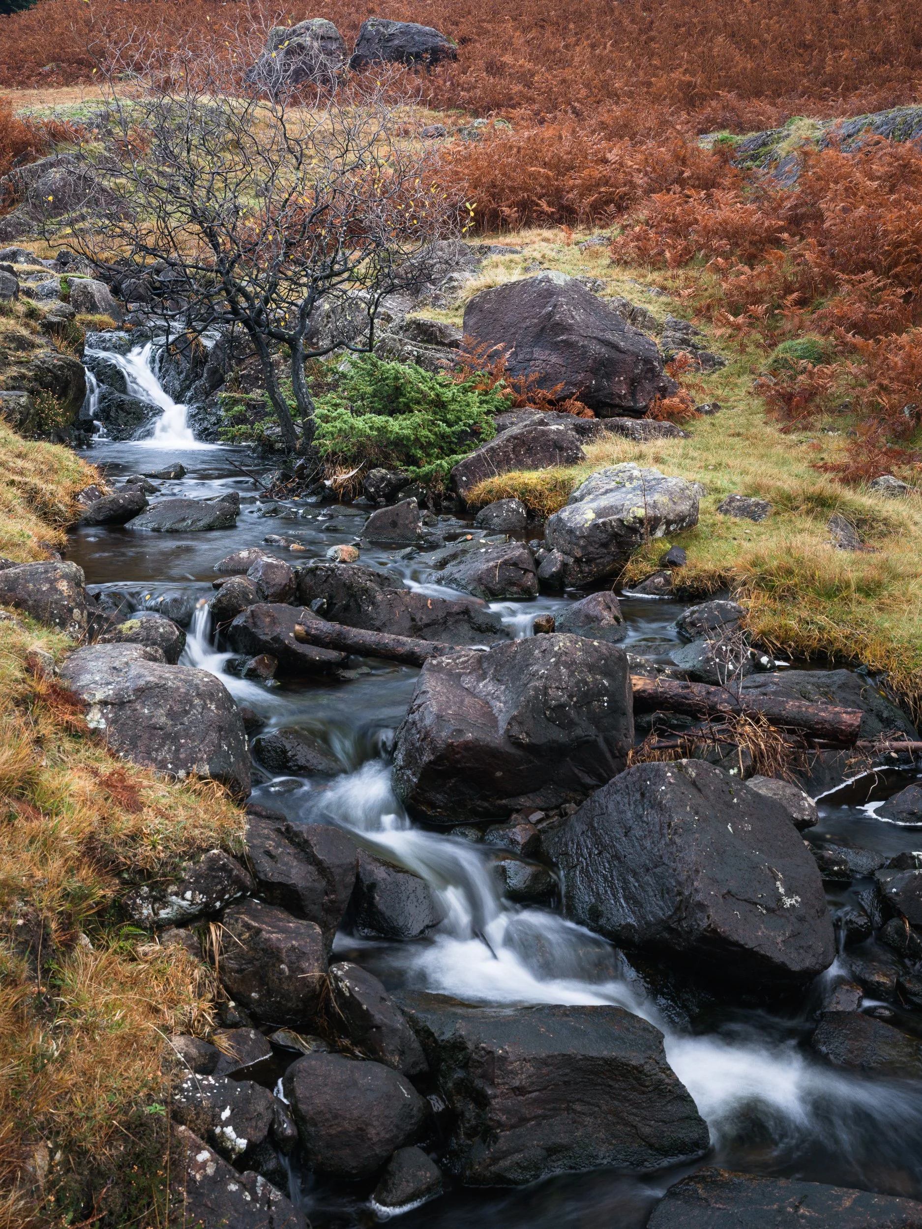 20241107-160605-HasselbladX2D 100C_Blog.jpg