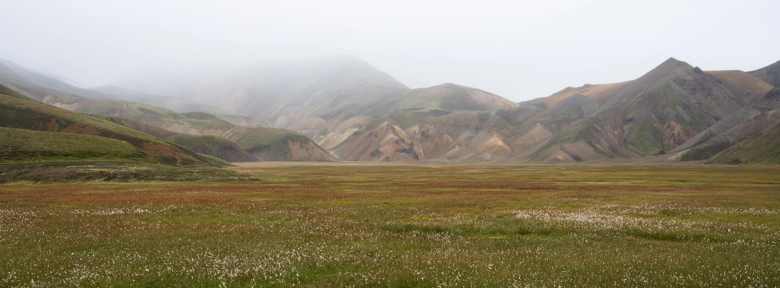 20250824-120503-HasselbladX2D 100C-B0001950_Blog.jpg