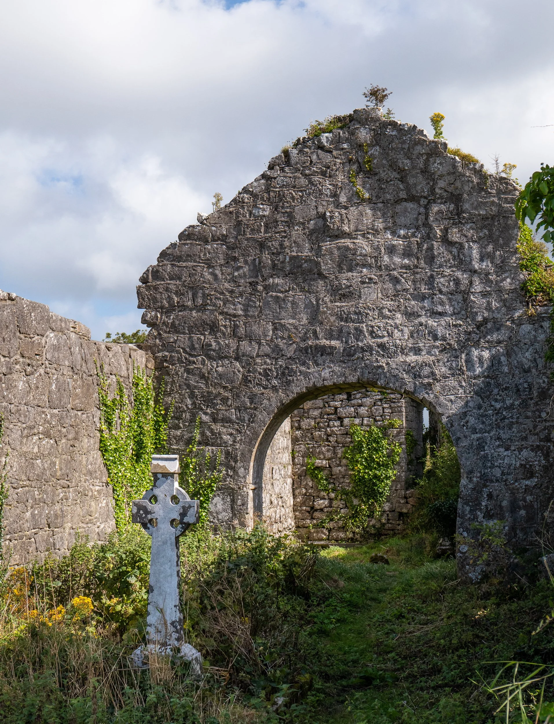 20240910-150021-LeicaLEICA D-Lux 8_Blog.jpg