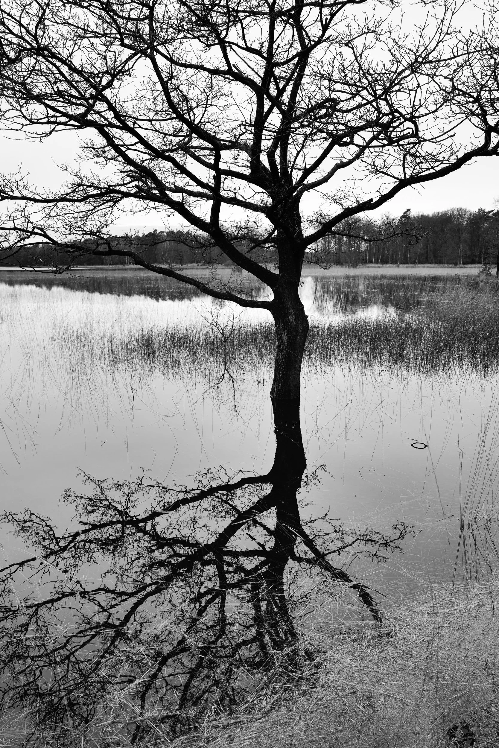 20240210-161949-LeicaLEICA Q2 MONO-untitled_Blog.jpg