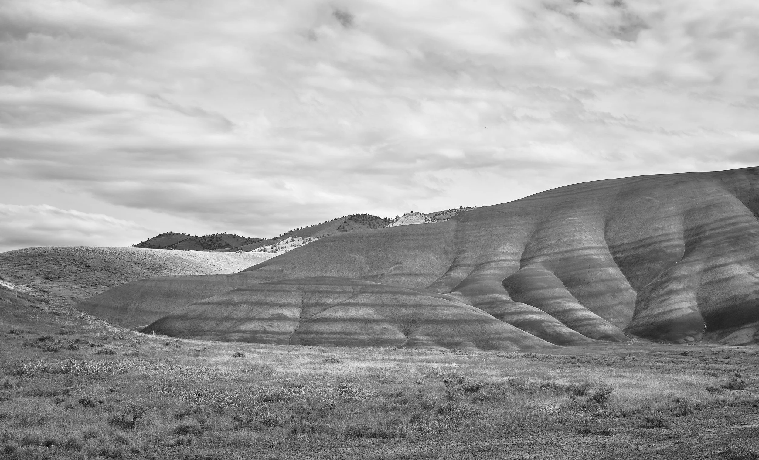 20230522-012812_X-T5.jpg