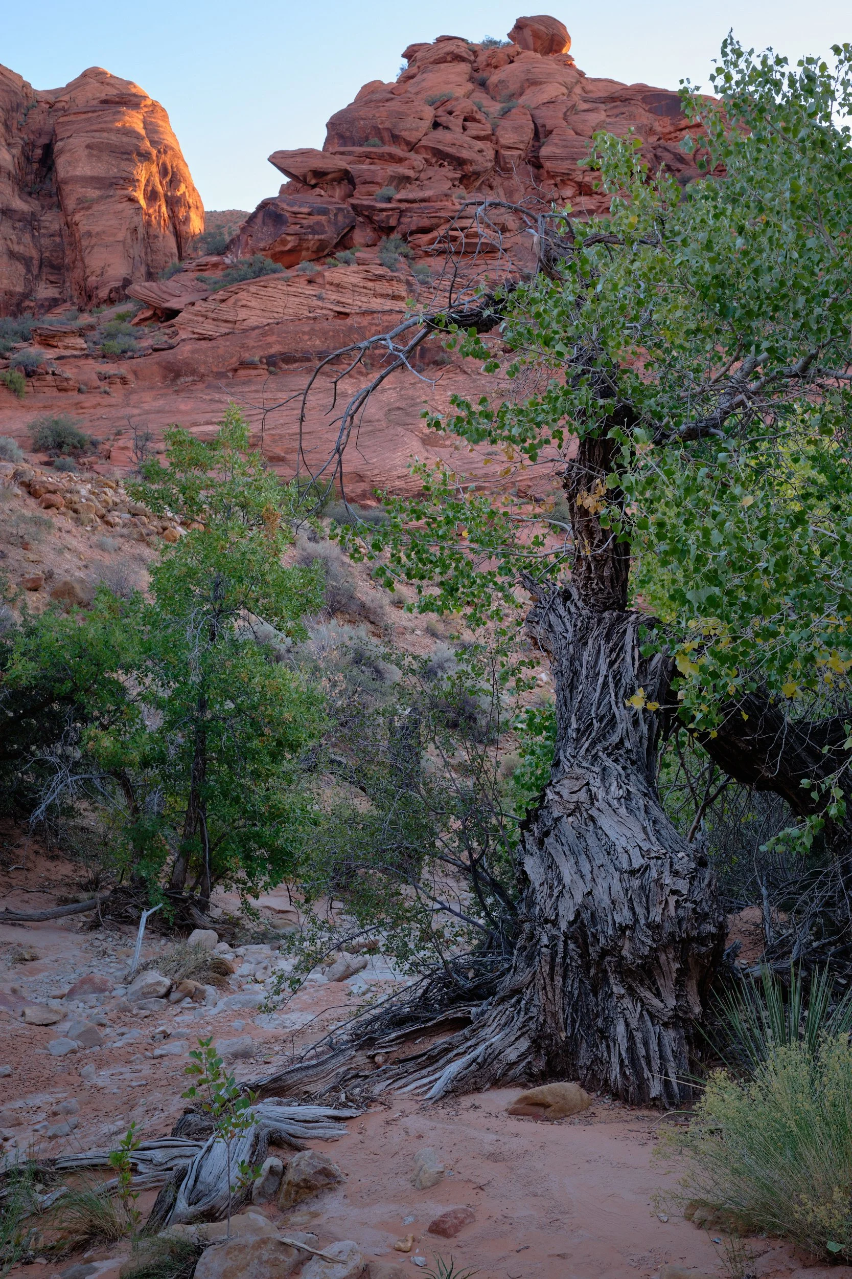 2018-10-15_07-57-14_RedCliffs.jpg