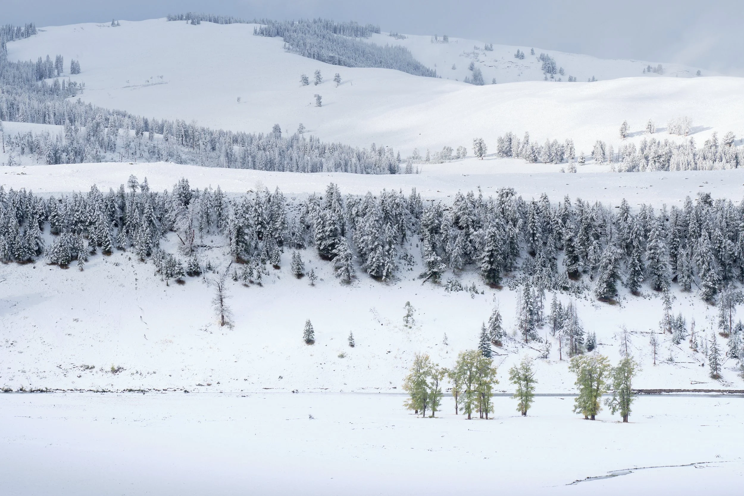 2017-09-22_07-41-05_Yellowstone.jpg