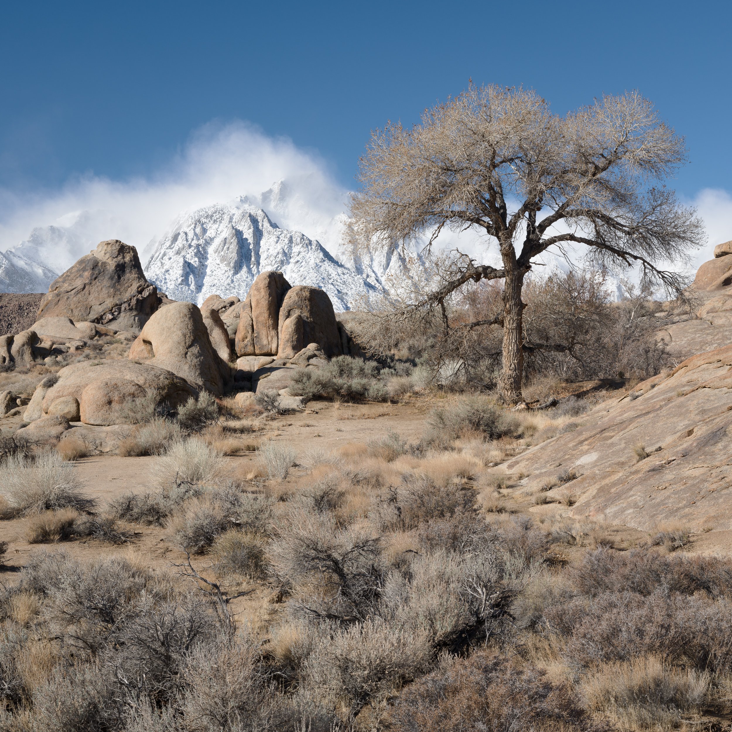 20250214-184001-HasselbladX2D 100C_Blog.jpg