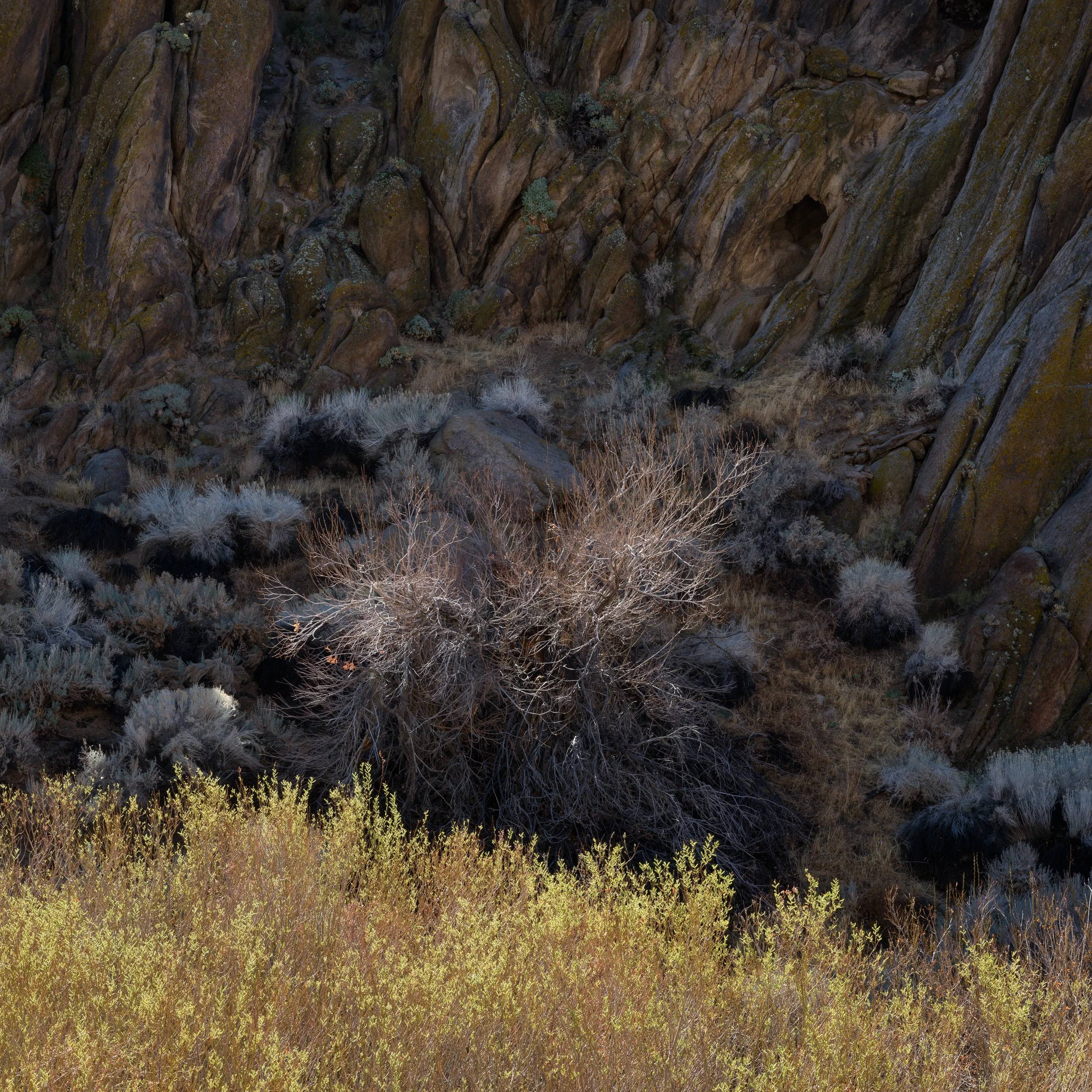 20250214-195246-HasselbladX2D 100C_Blog.jpg
