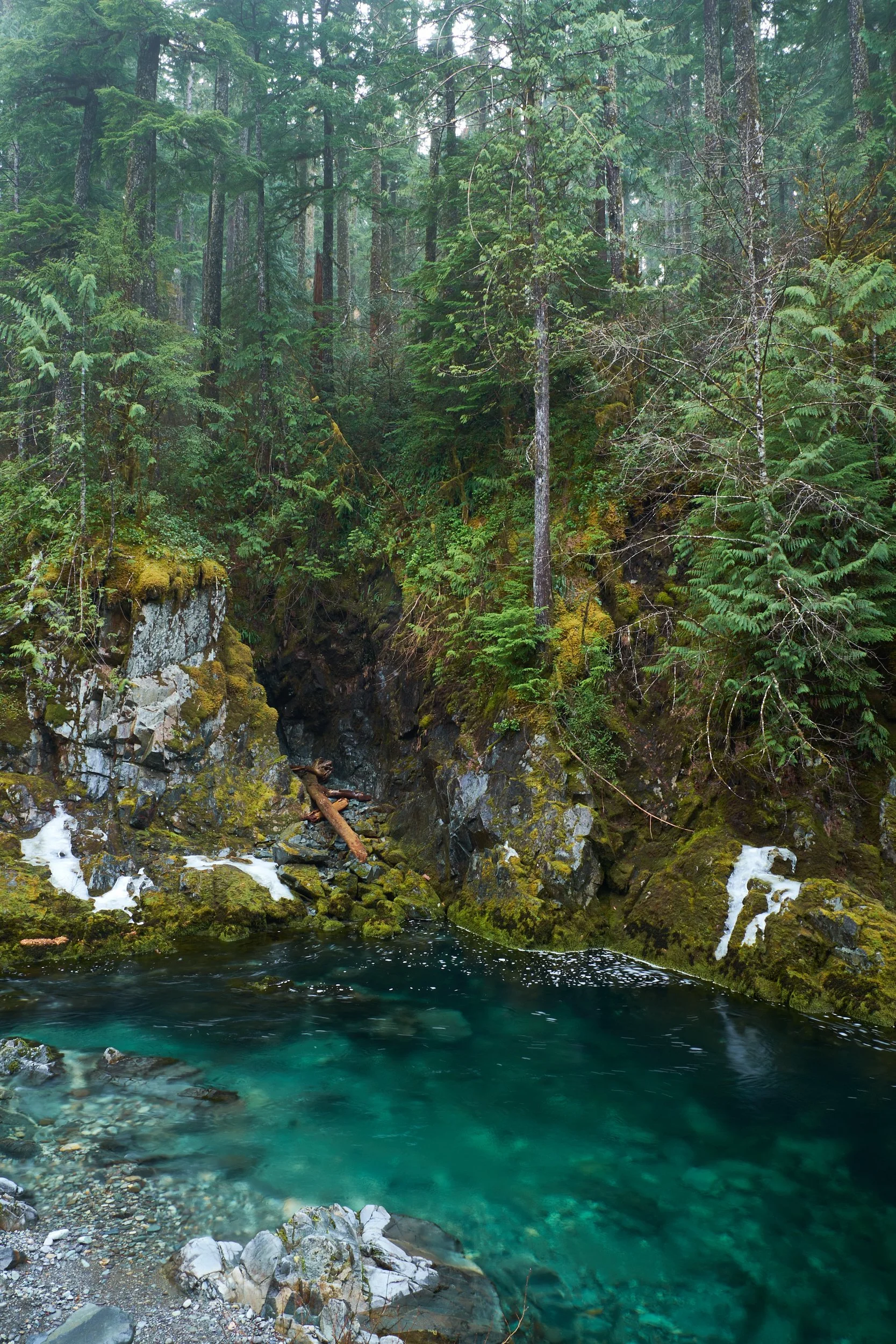 2013-12-30_12-01-18_OpalCreek.jpg
