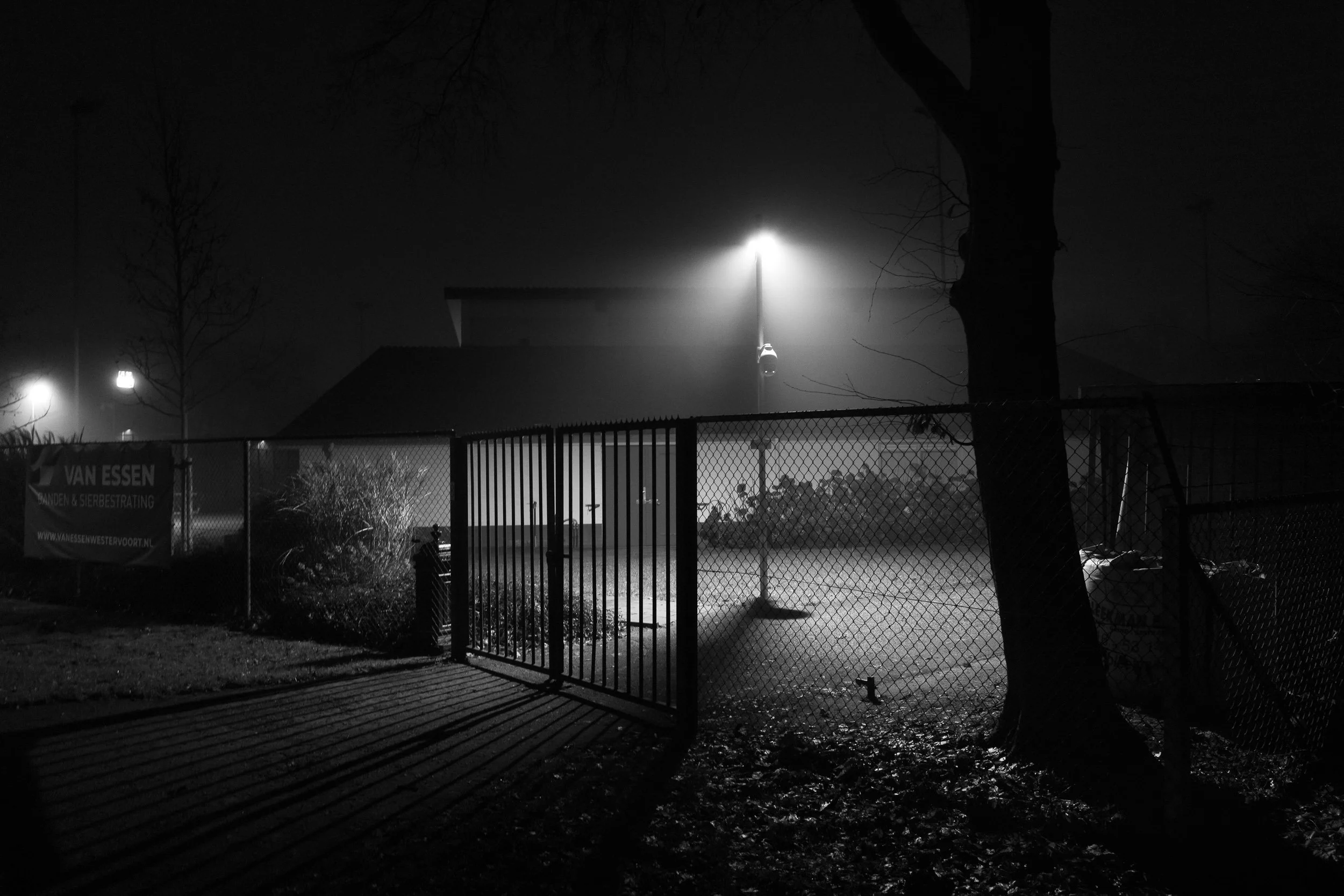 20250117-063550-LeicaLEICA Q2 MONO_Blog.jpg