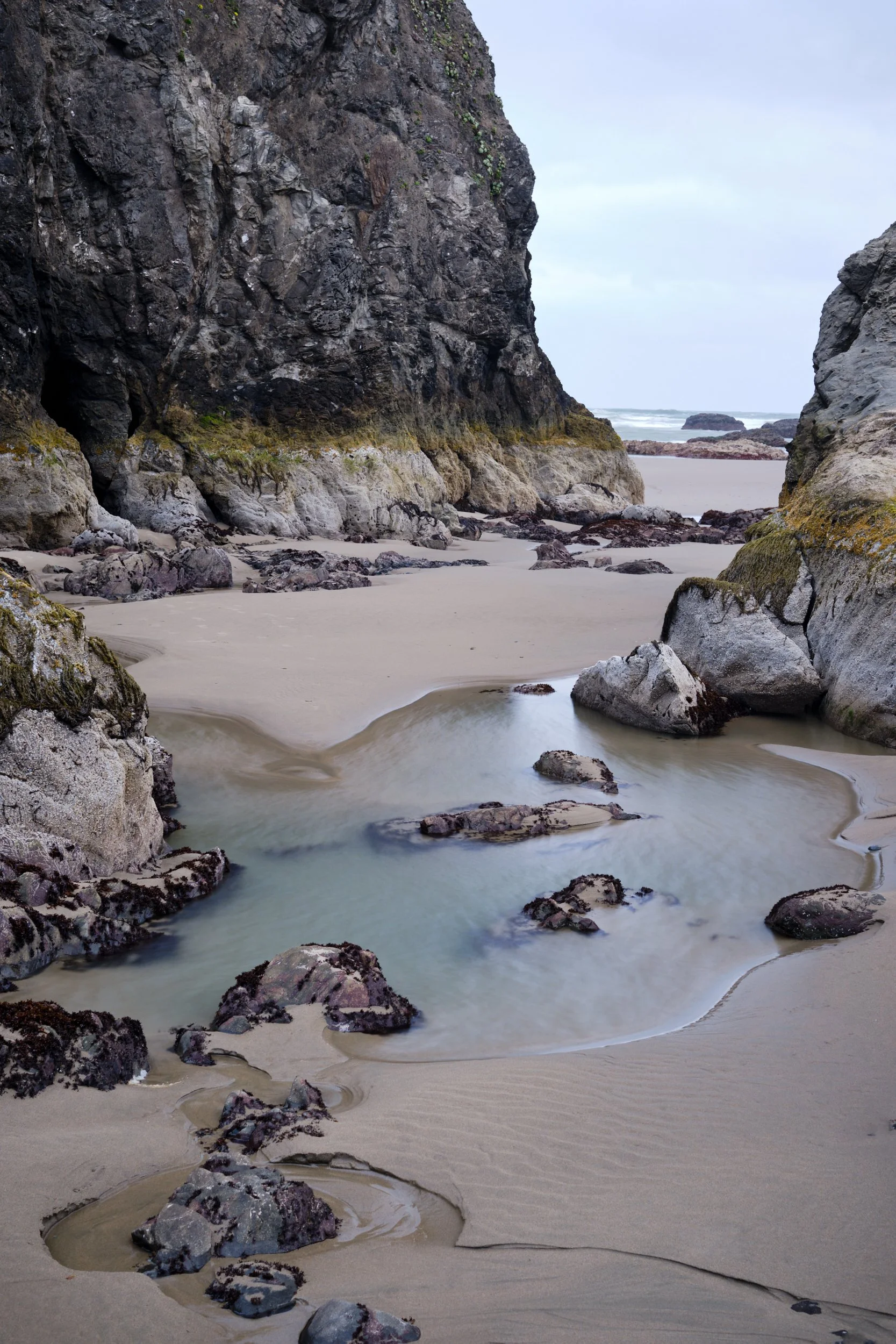 2019-04-20_06-30-56_Bandon.jpg