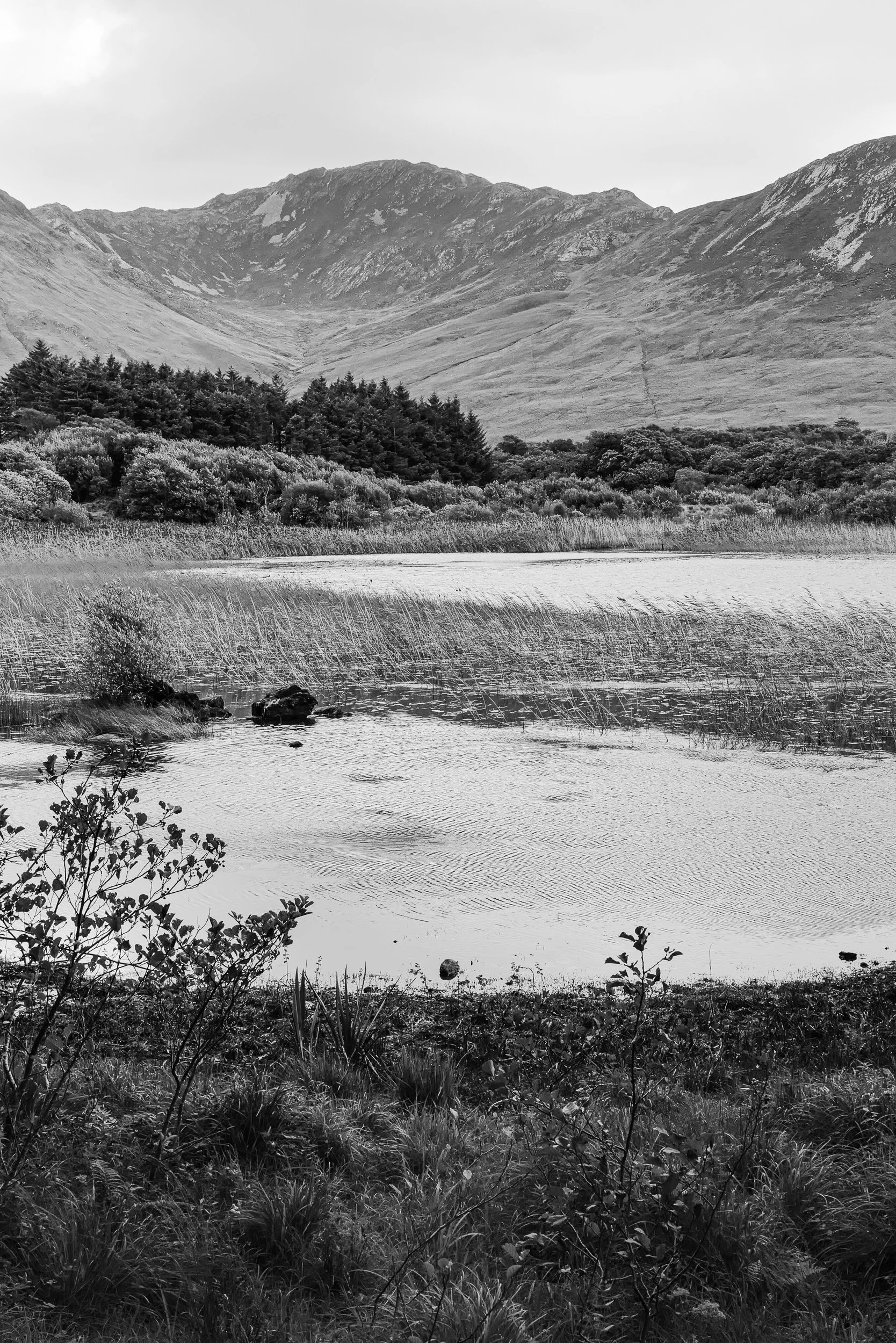 September, Ireland