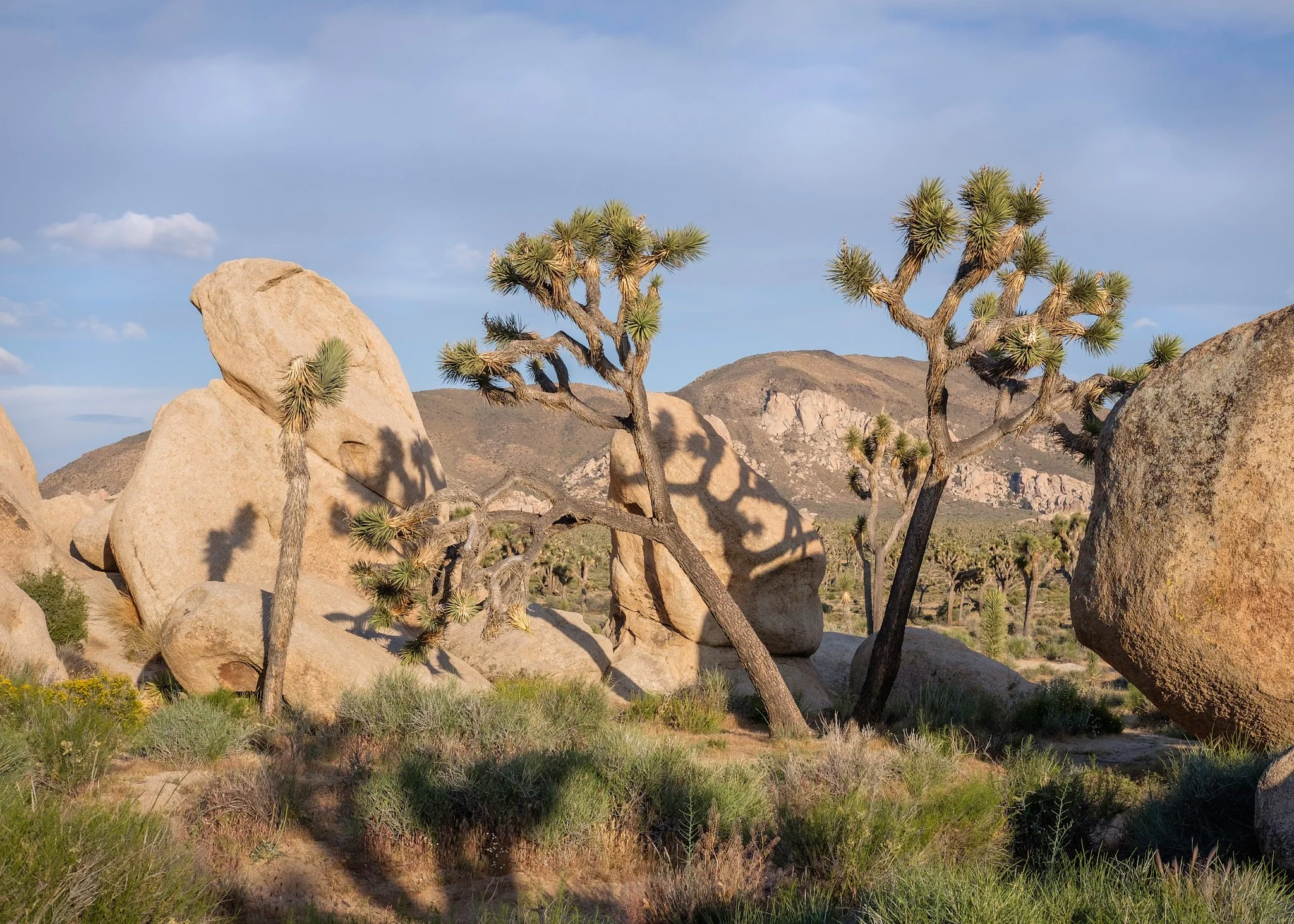 Southwest 2017-37-20170508_2017 May Expedition_0444-HDR.jpg