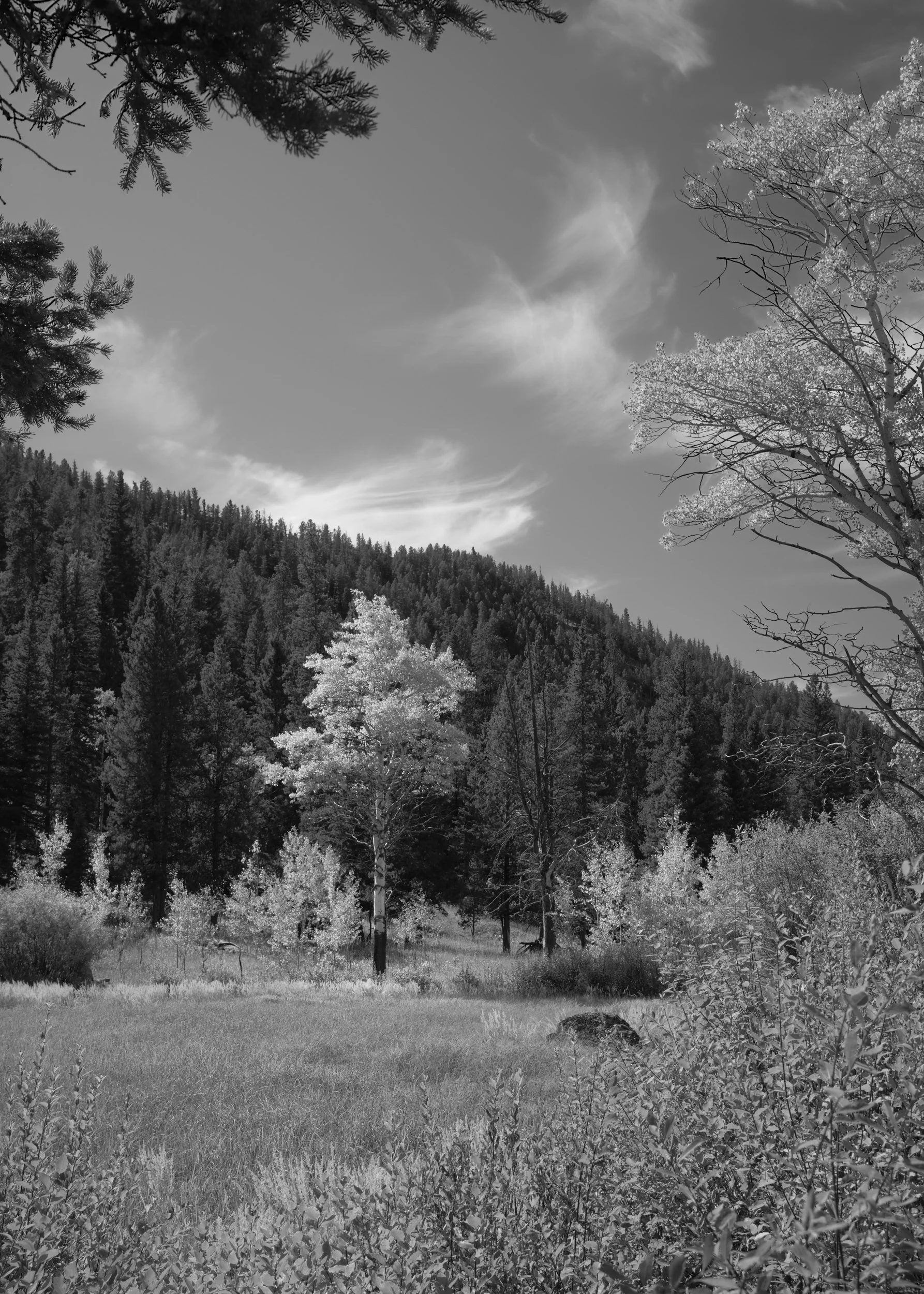 2019-09-19_12-03-18_LamarValley.jpg
