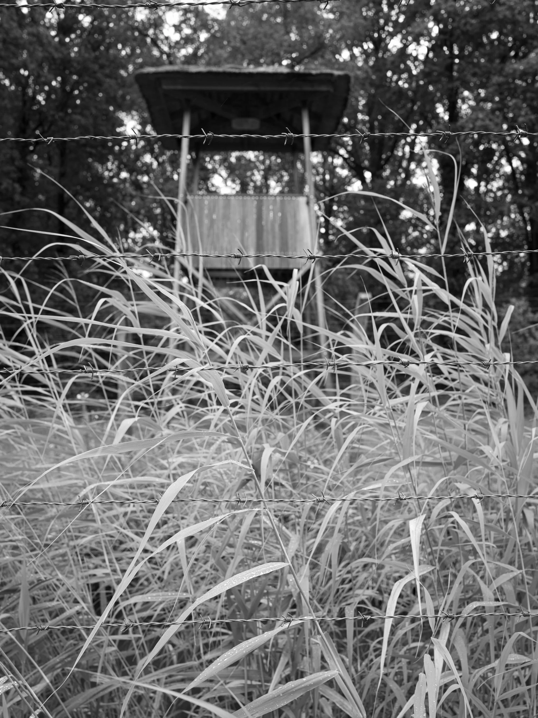 July, Nationaal Monument Kamp Vught, NL