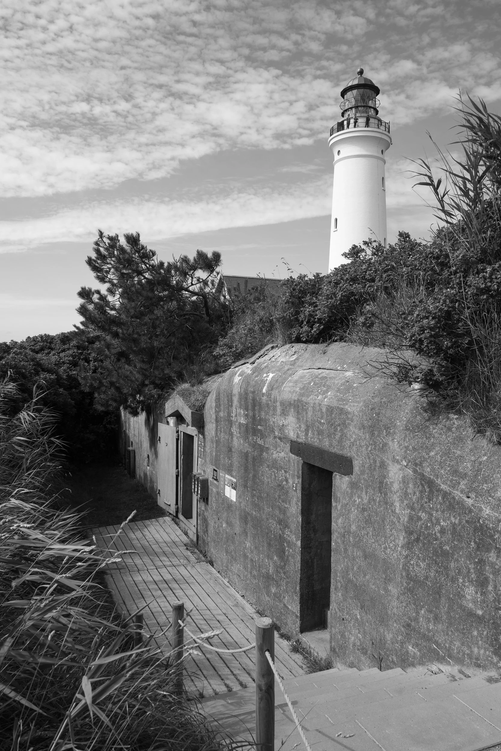 20250727-090817-LeicaLEICA Q2 MONO-L1000972_Blog.jpg