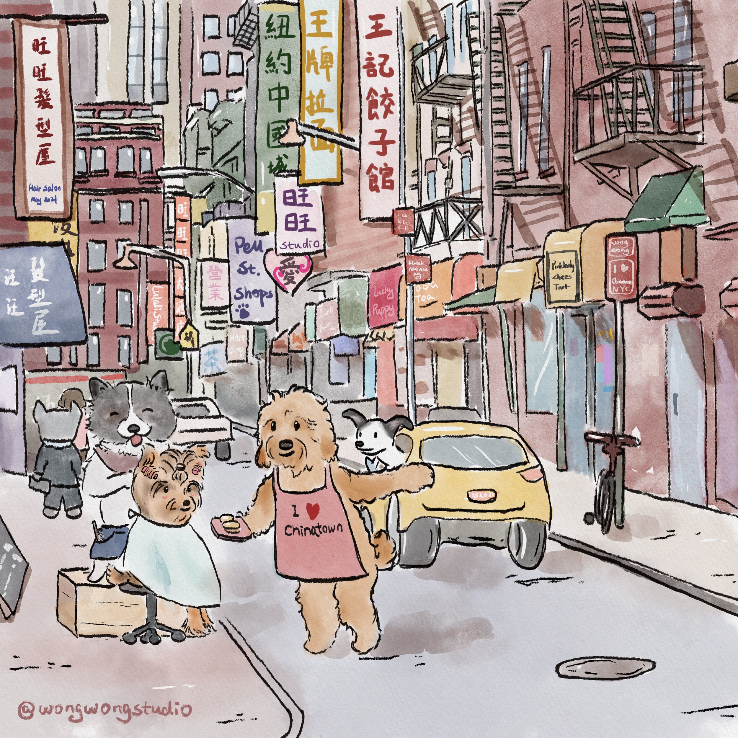 Chinatown NYC Dogs