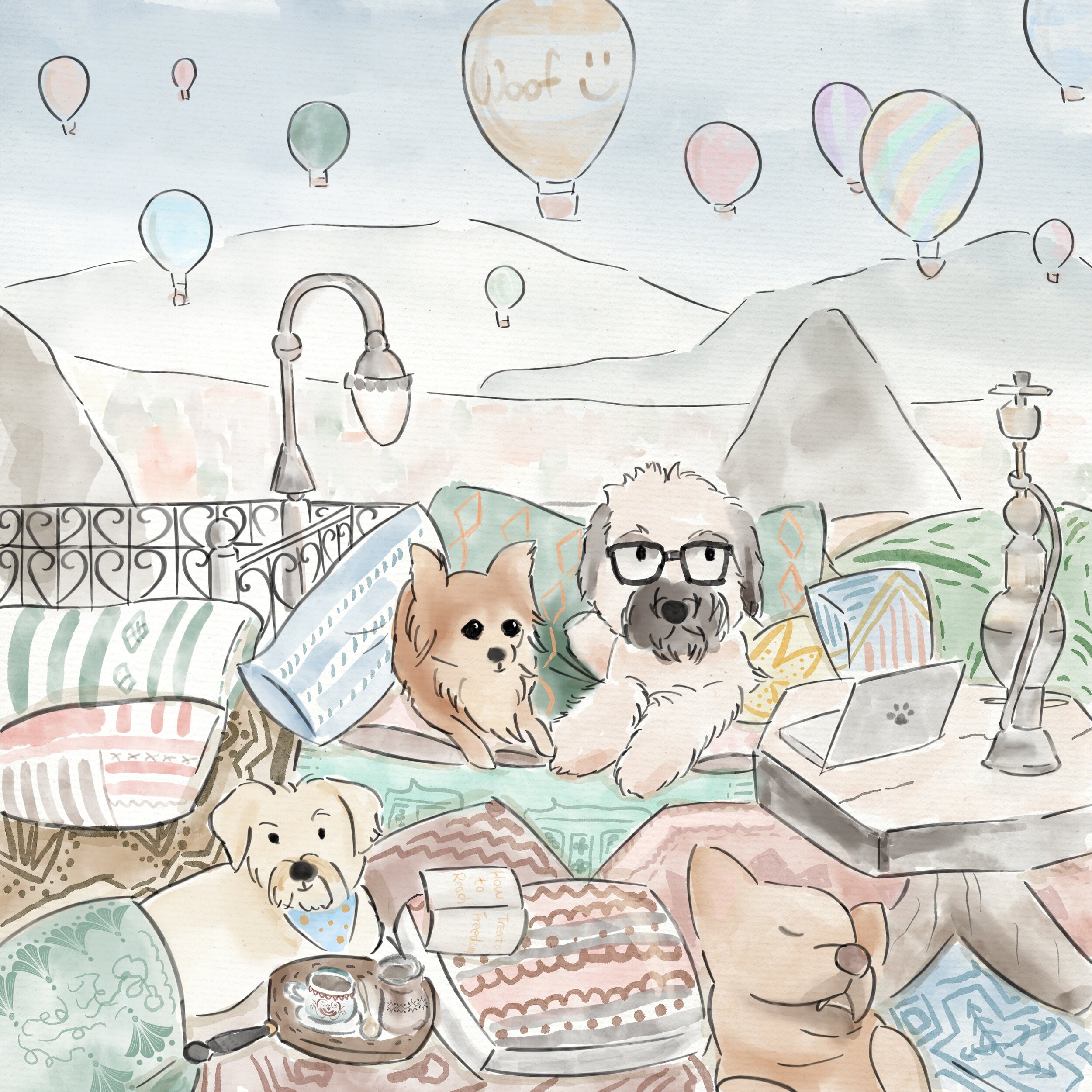 Turkey Hot Air Balloon Dogs