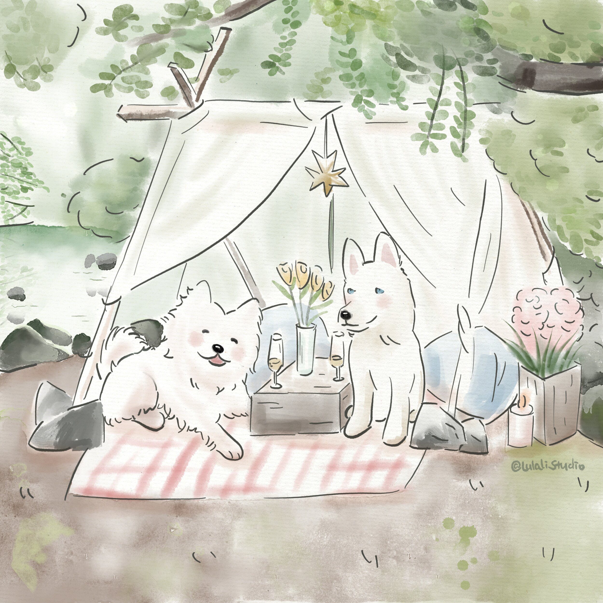 Glamping Dogs