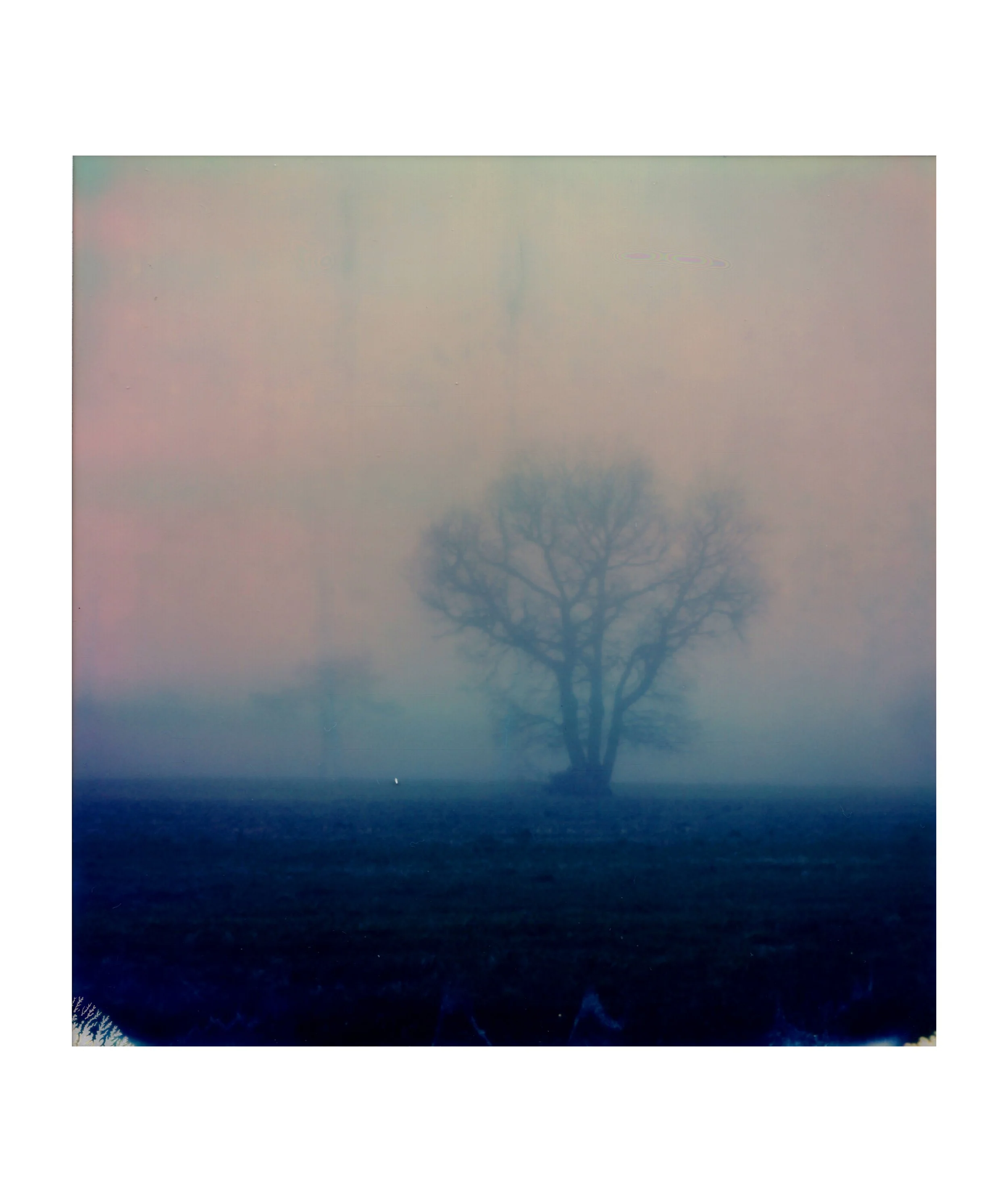 Numériser 190 copie.jpg