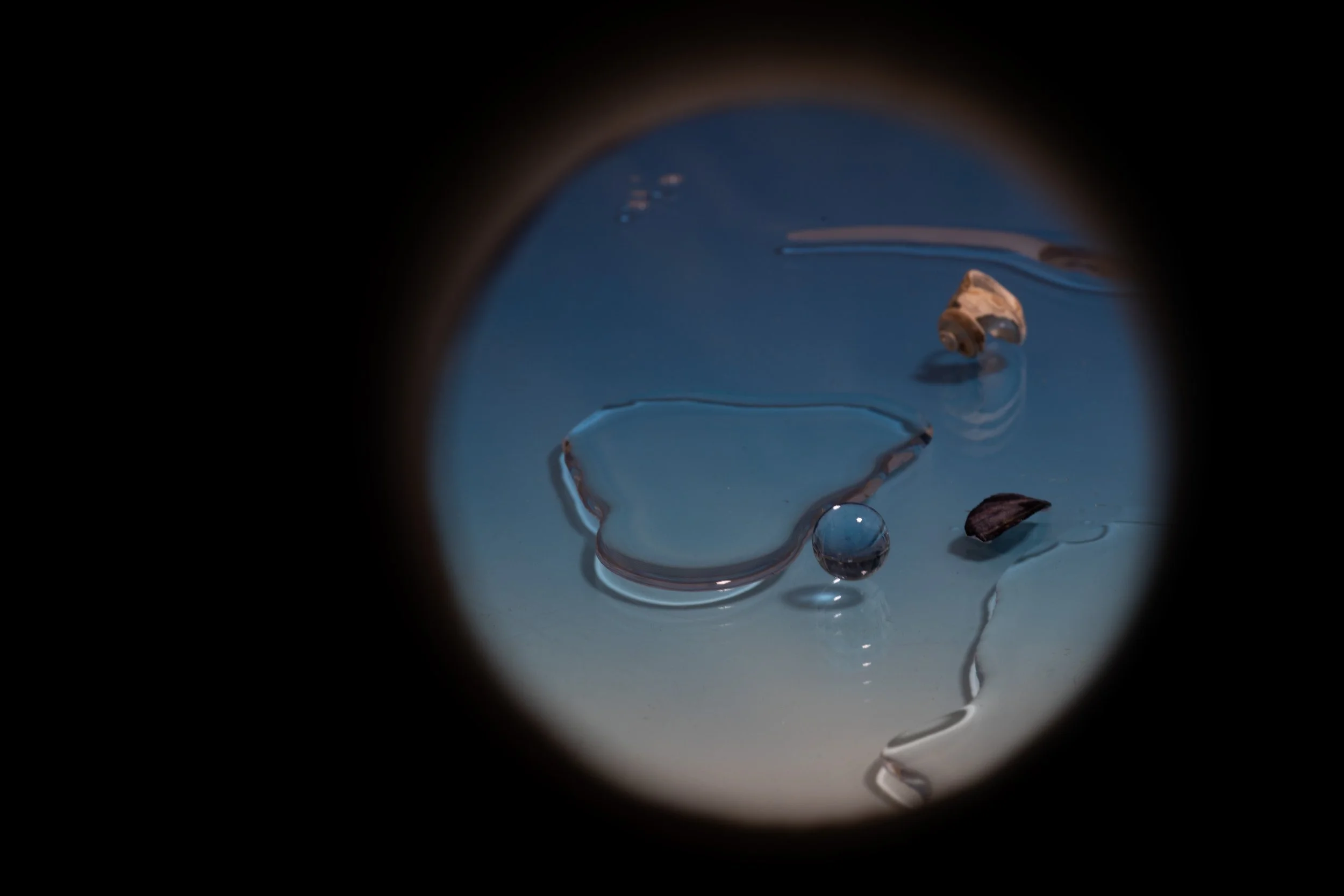 Crash / Catapult / Float