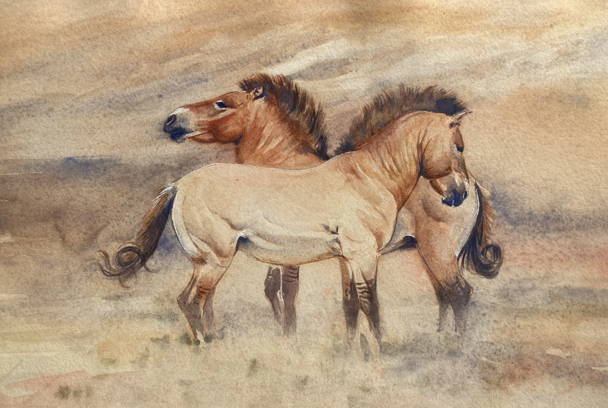 ancient_horses.jpeg