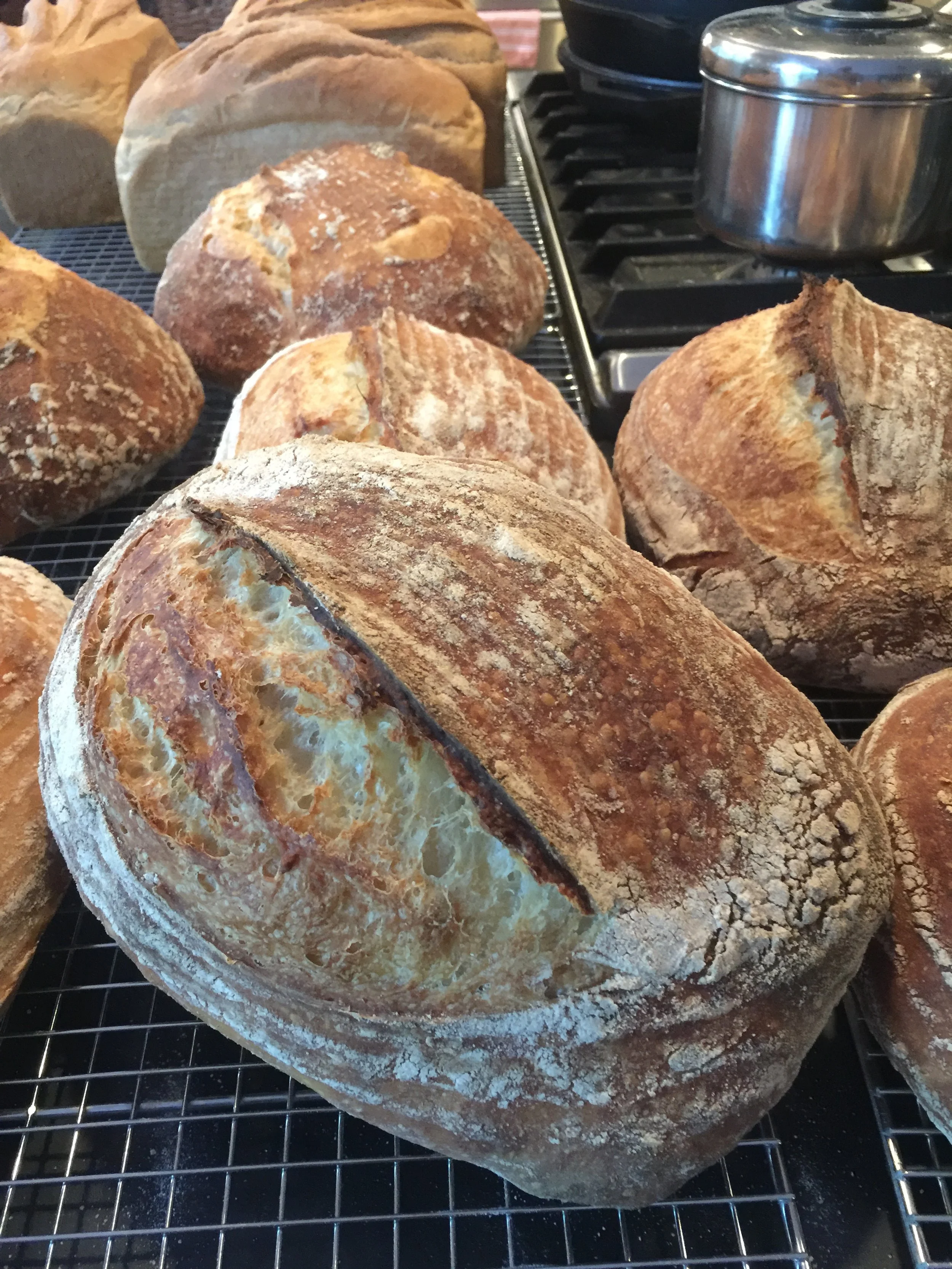 loaves of sourdough bread on cooling rack