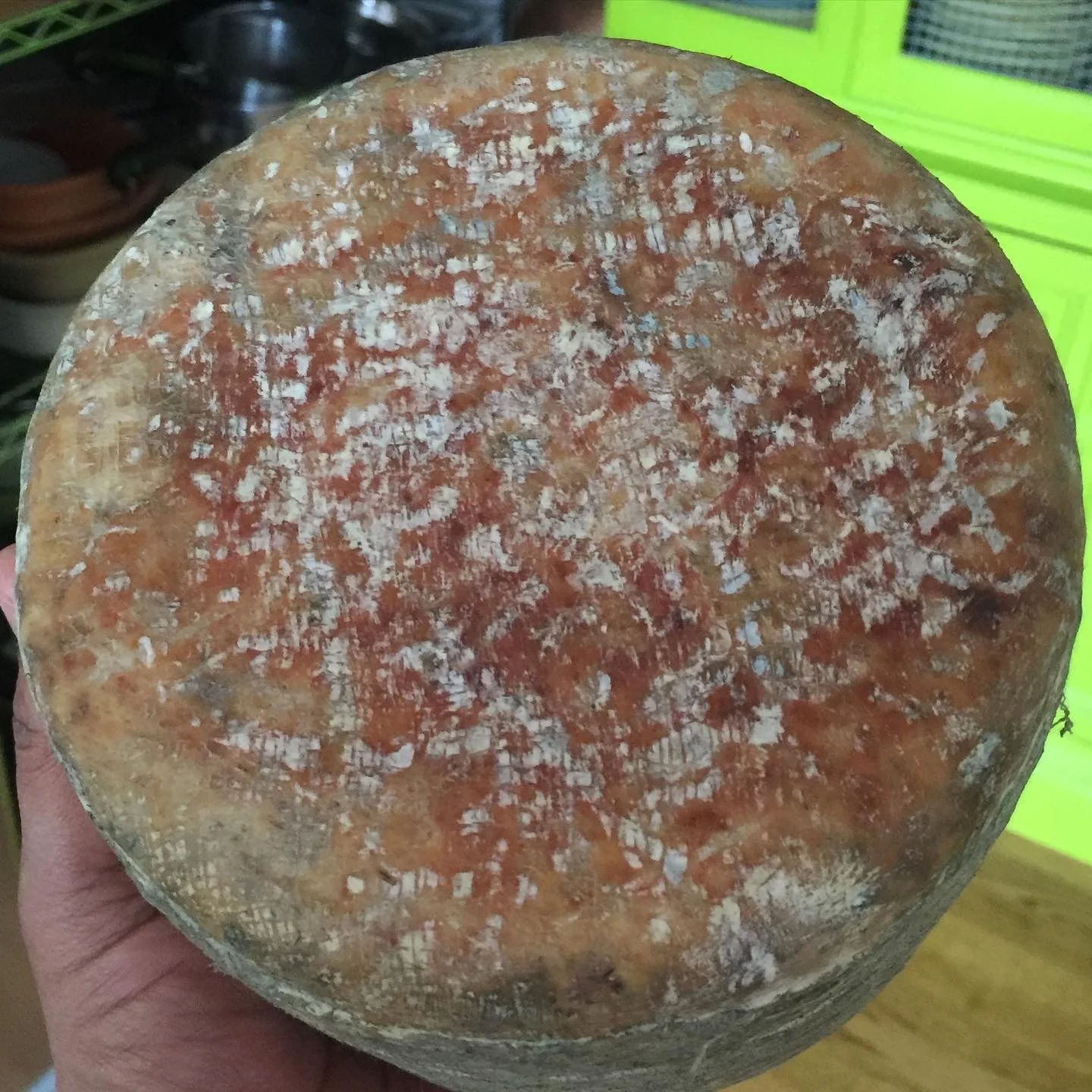 natural cloth wrapped aged cheese with molds