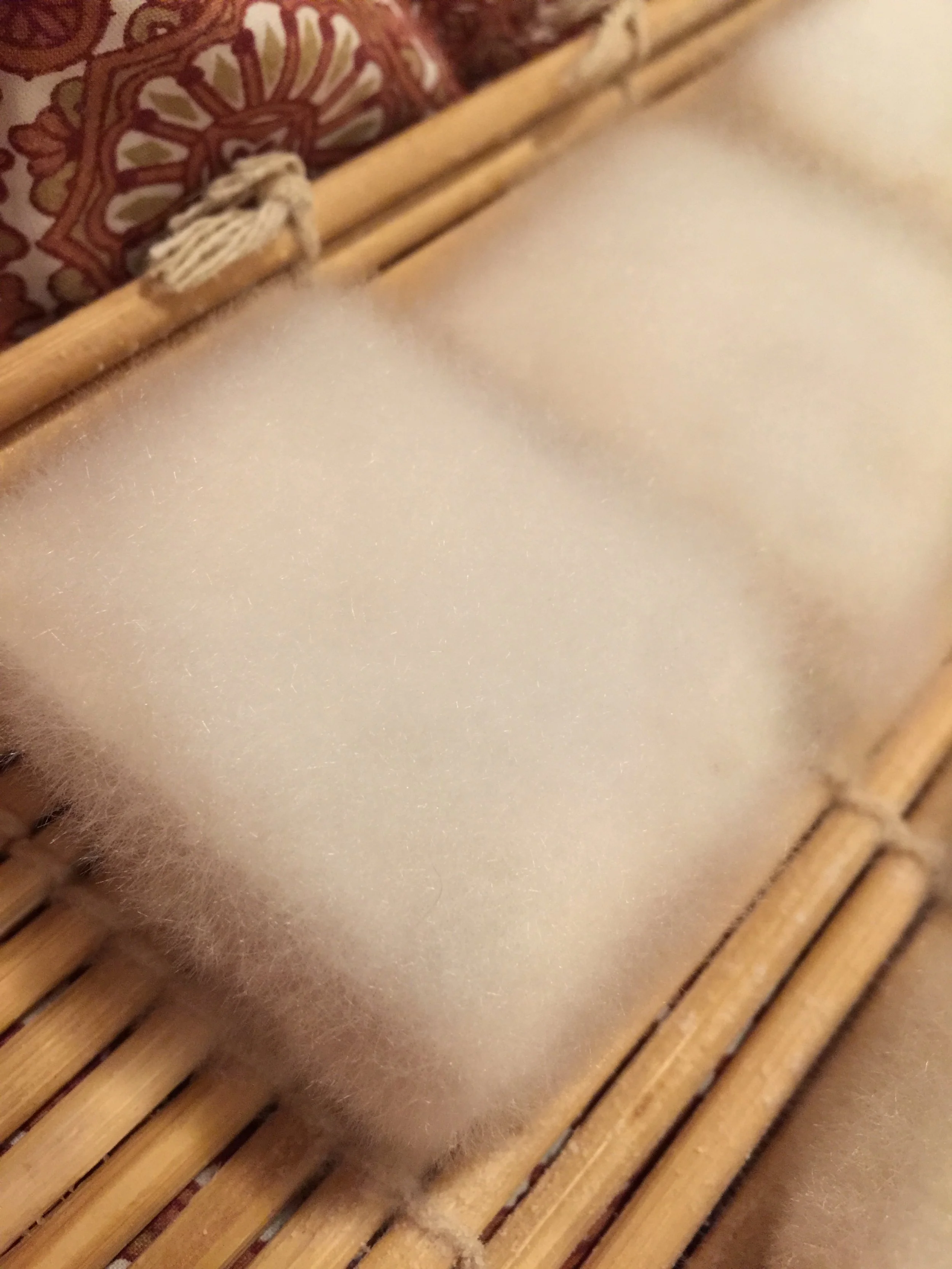 furry tofu on bamboo mat