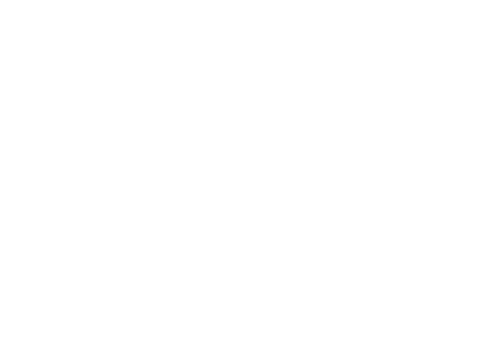 Root Solutions - Your Digital Transformation Partner