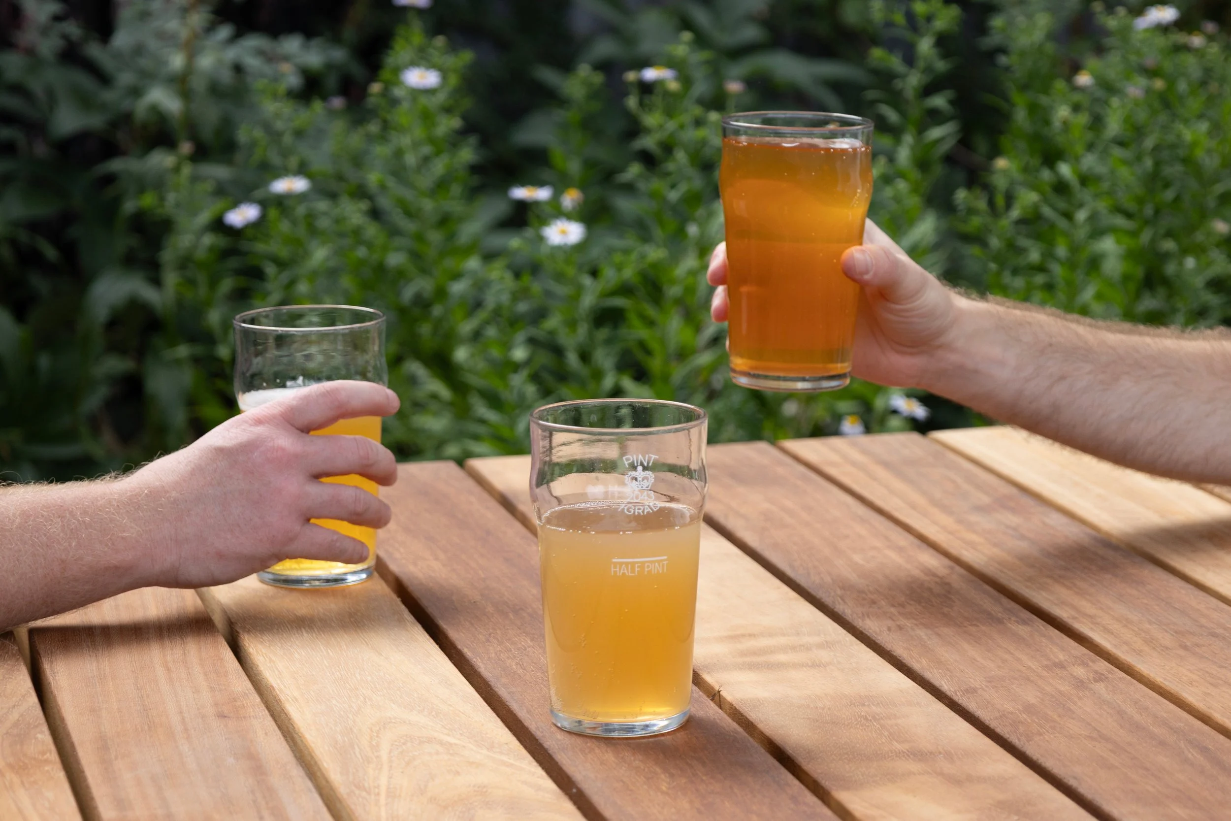 Two people holding glasses of light orange beer outdoors on a wooden table, with a background of green plants and white flowers.