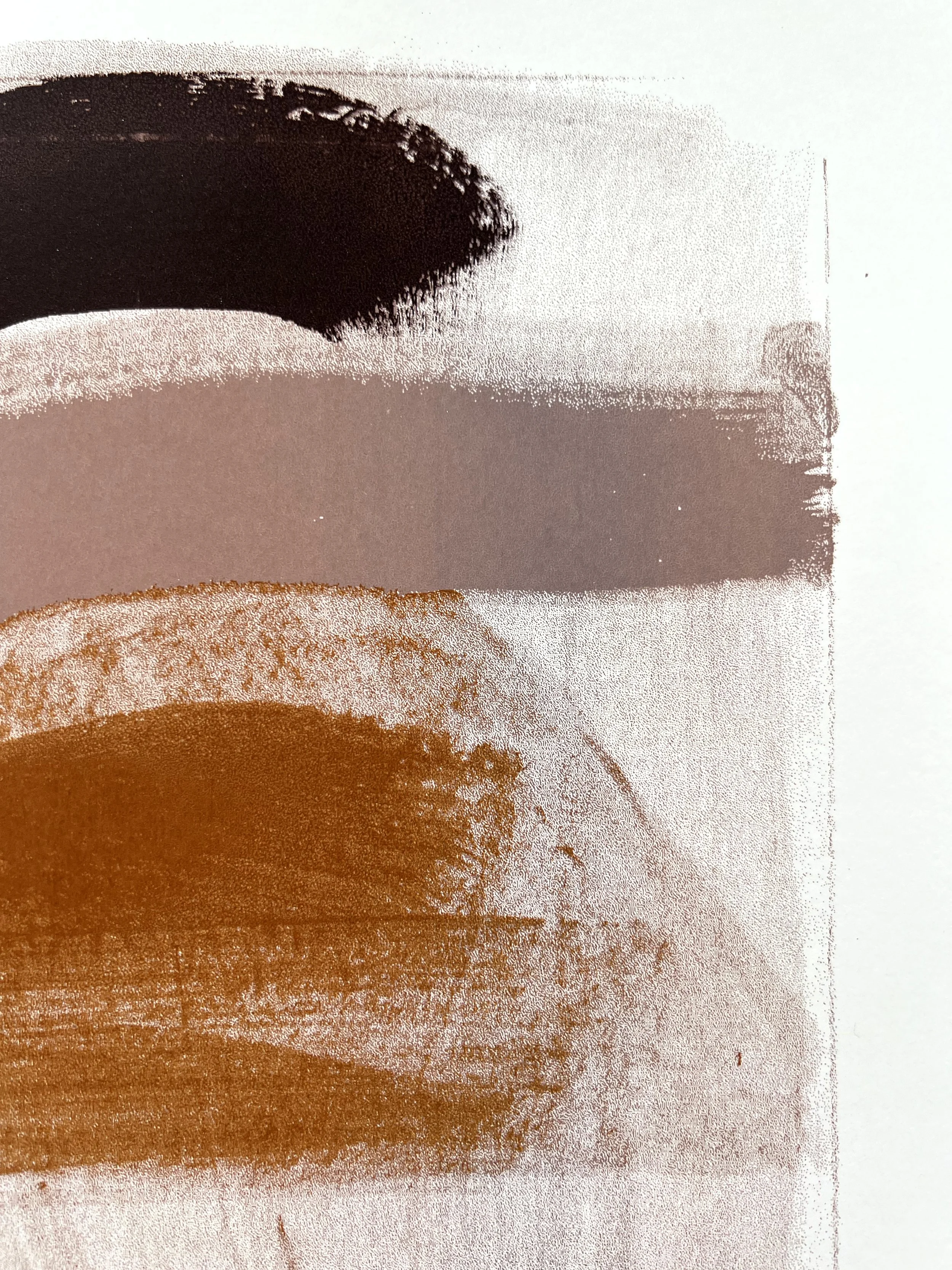 Half Light (detail) - screenprint - 2025