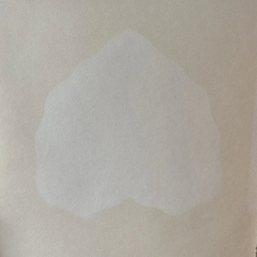 Ghost Leaf - light on paper - 2022
