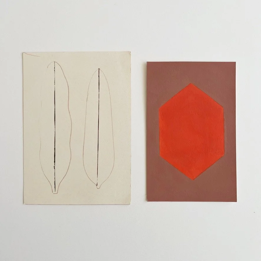 Feathers / Gem - pencil & acrylic on paper and board - 2022