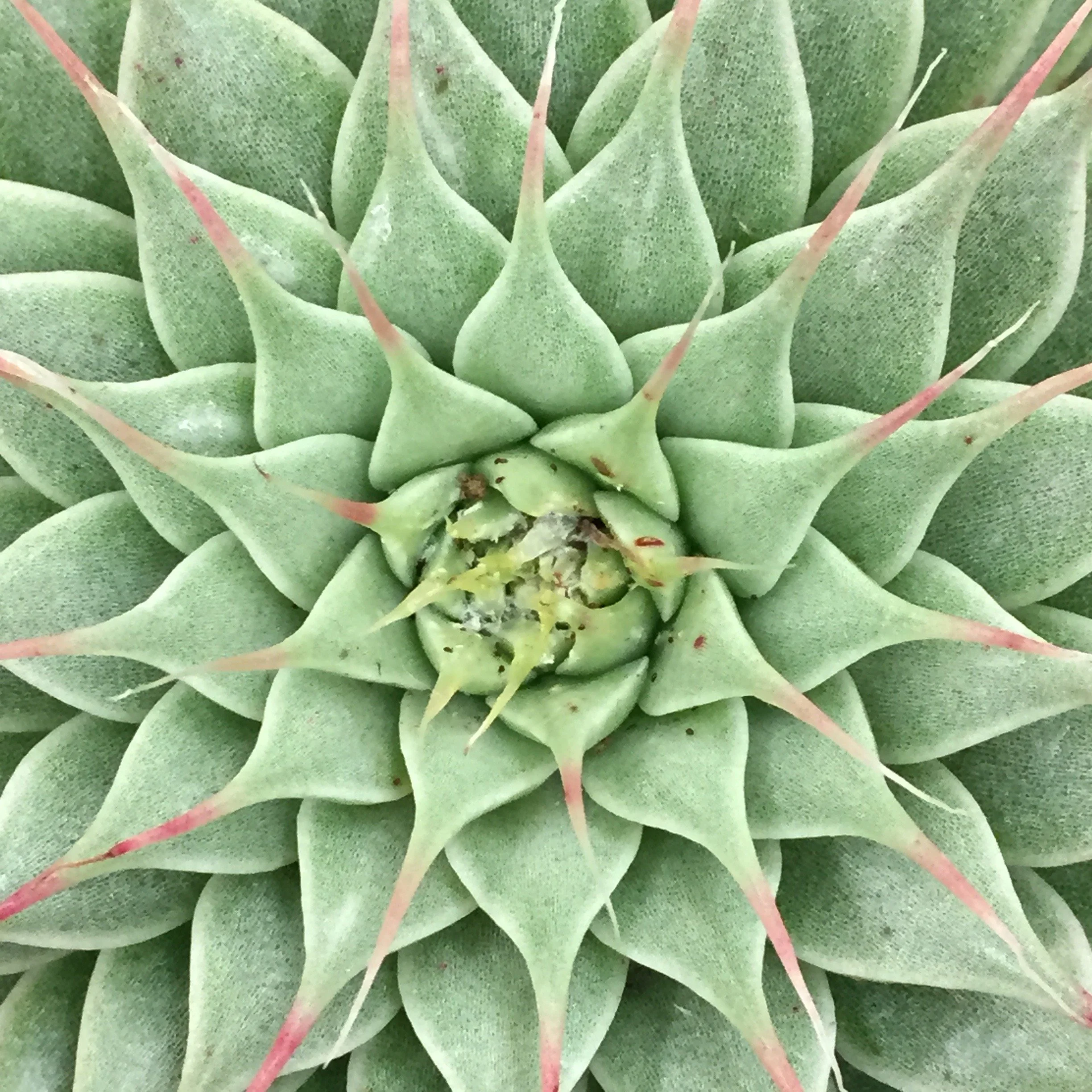 Navigating Uncertainty with Courage and Tenderness