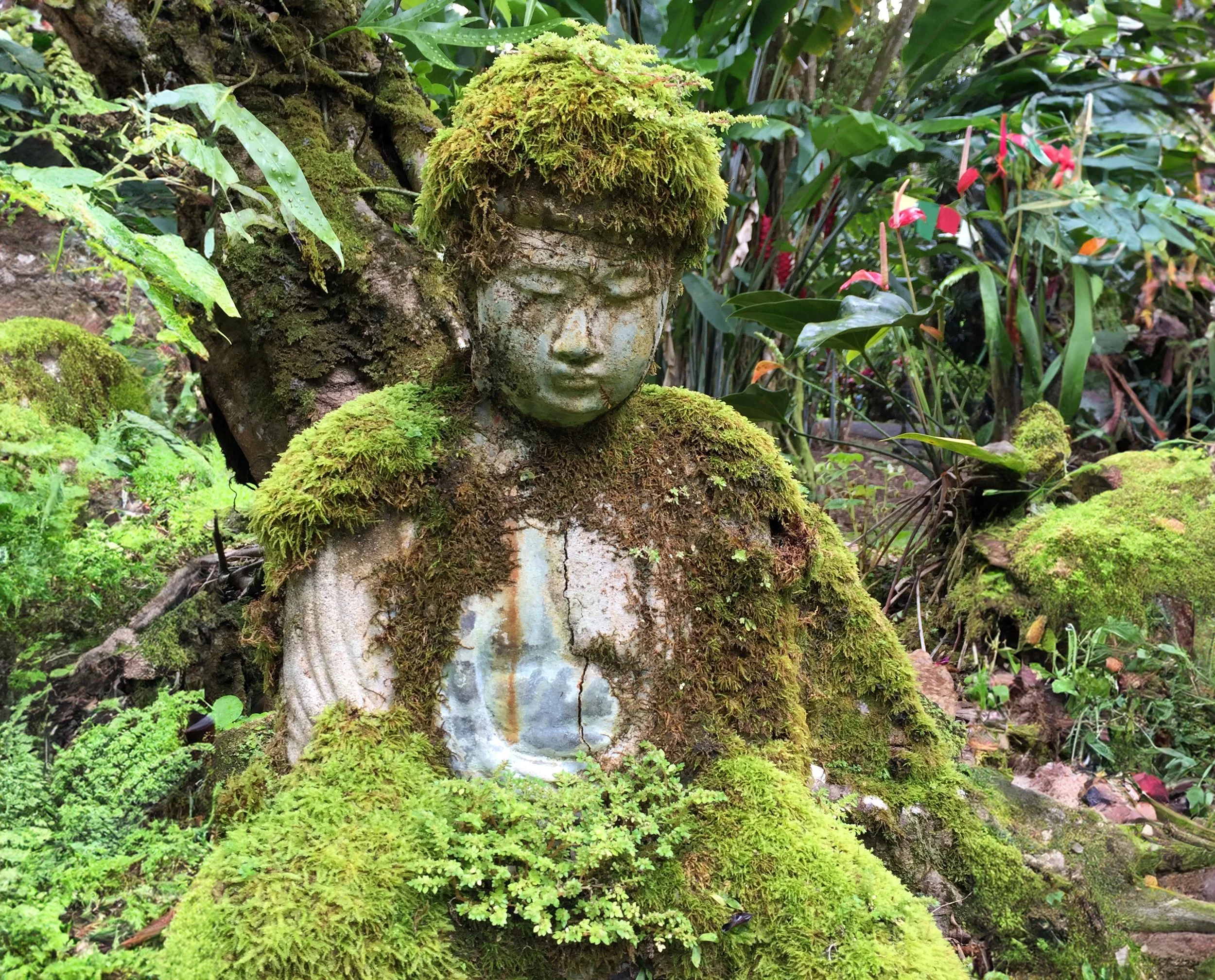 Buddhist Eco-Chaplaincy