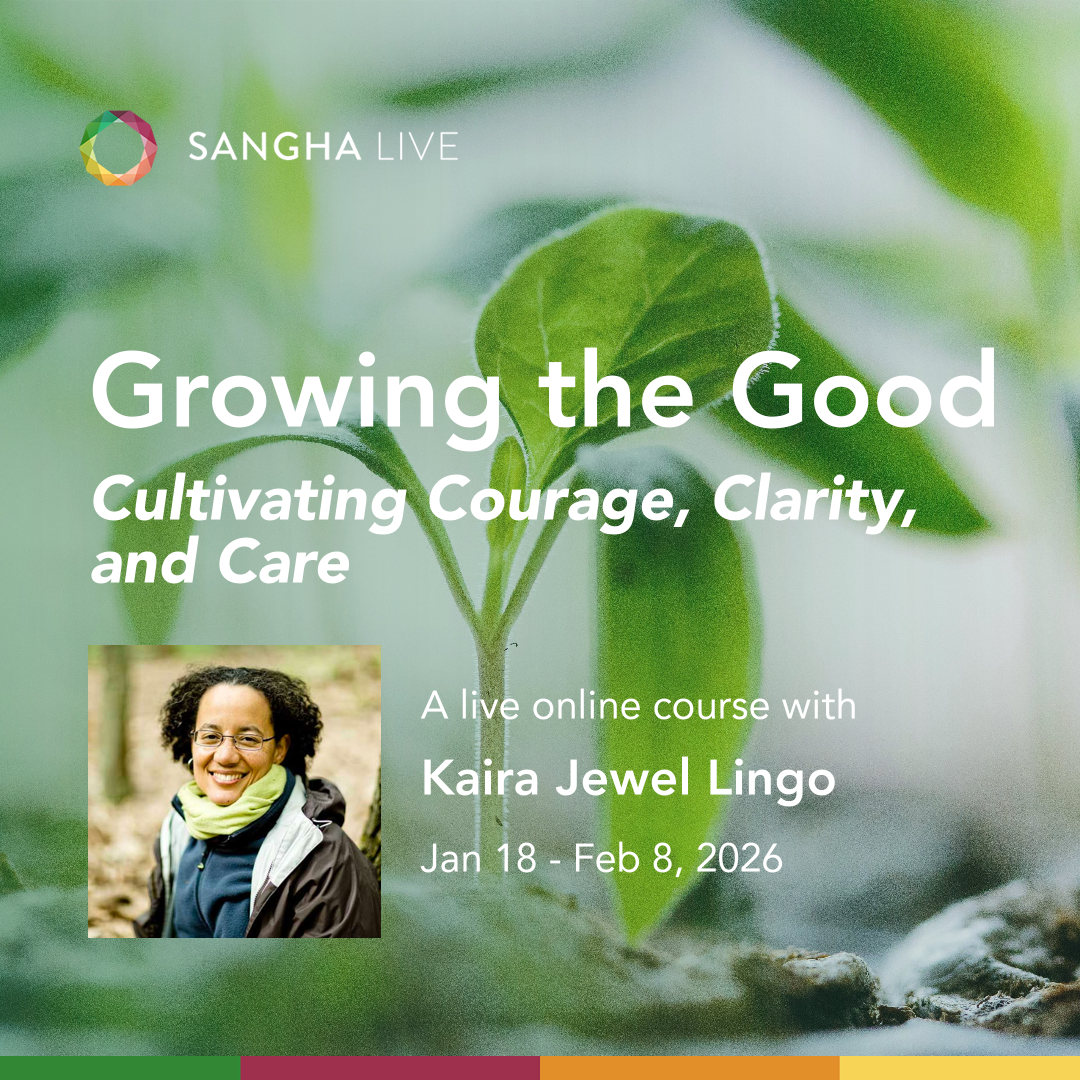Growing the Good: Cultivating Courage, Clarity, and Care.         A four-week live online course