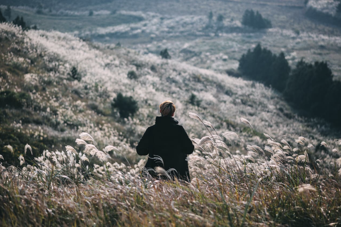 Belonging to the Earth: Touching Interbeing and Our Place in the Whole