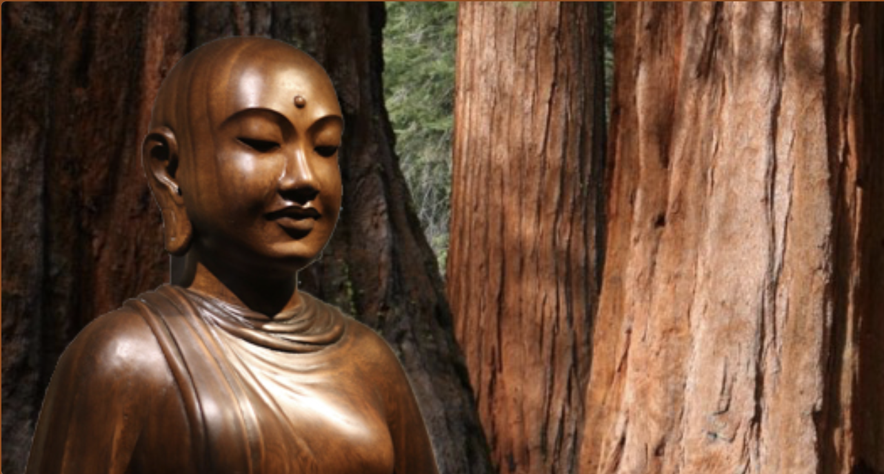 One week&nbsp;Insight Retreat&nbsp;with&nbsp;Gil Fronsdal&nbsp;and&nbsp;Kaira Jewel Lingo
