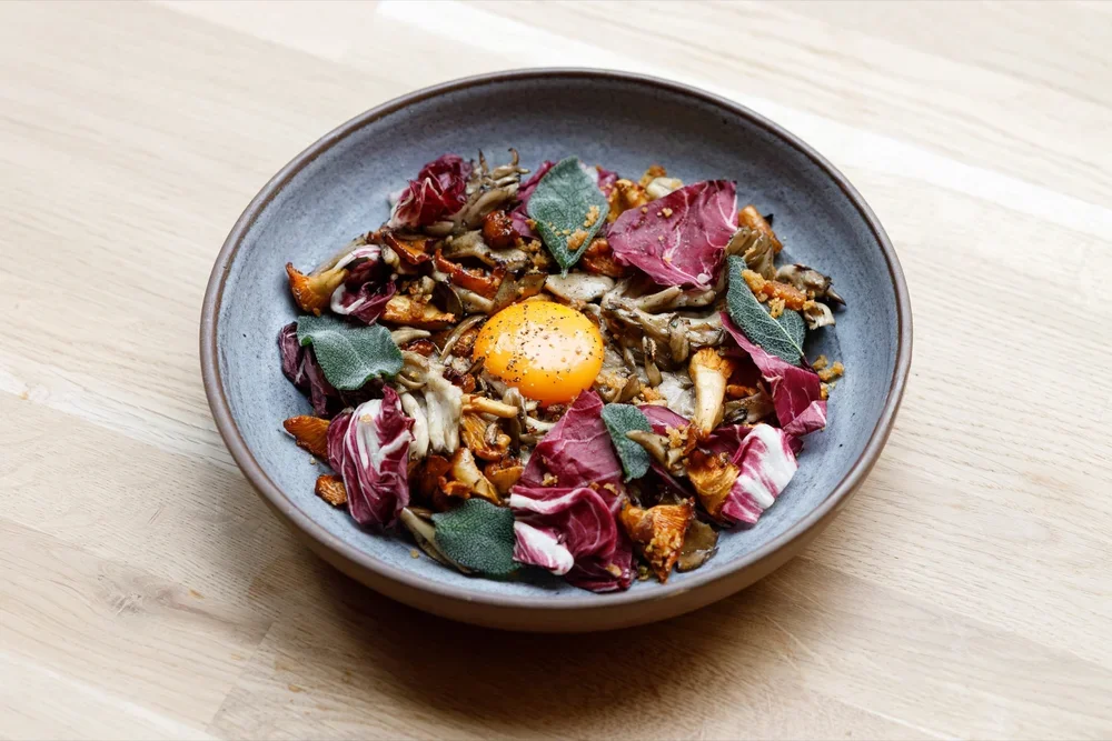 wild mushroom ragu