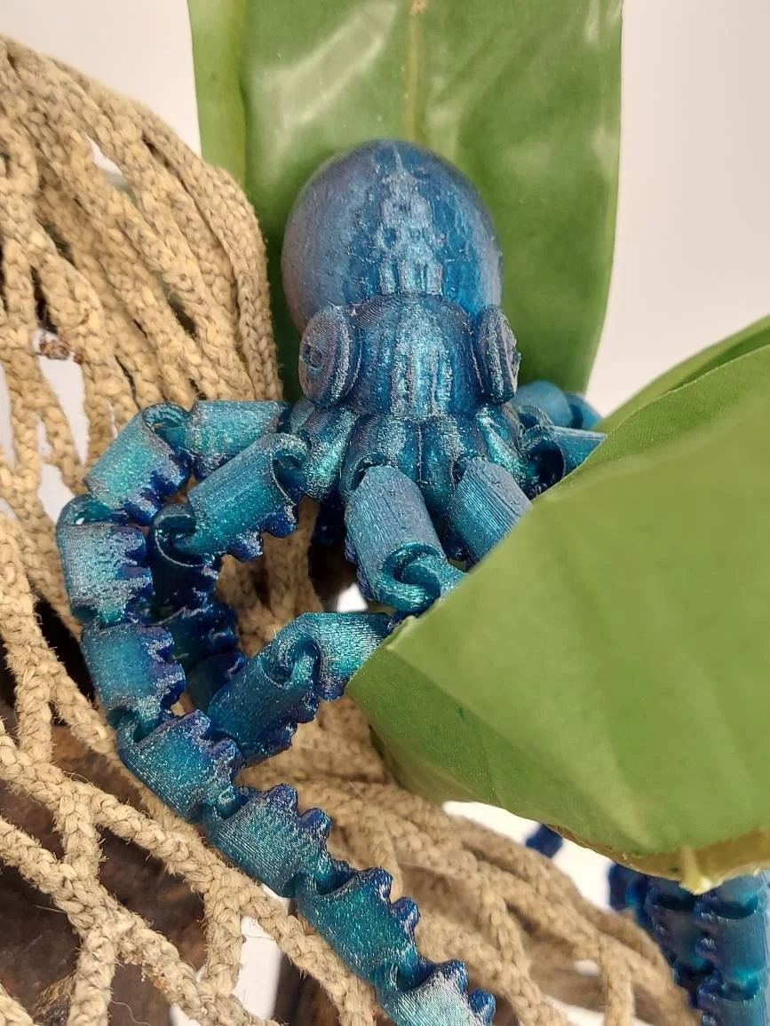 https://i.etsystatic.com/25315289/r/il/02edfc/3868311874/il_fullxfull.3868311874_g9lg.jpg