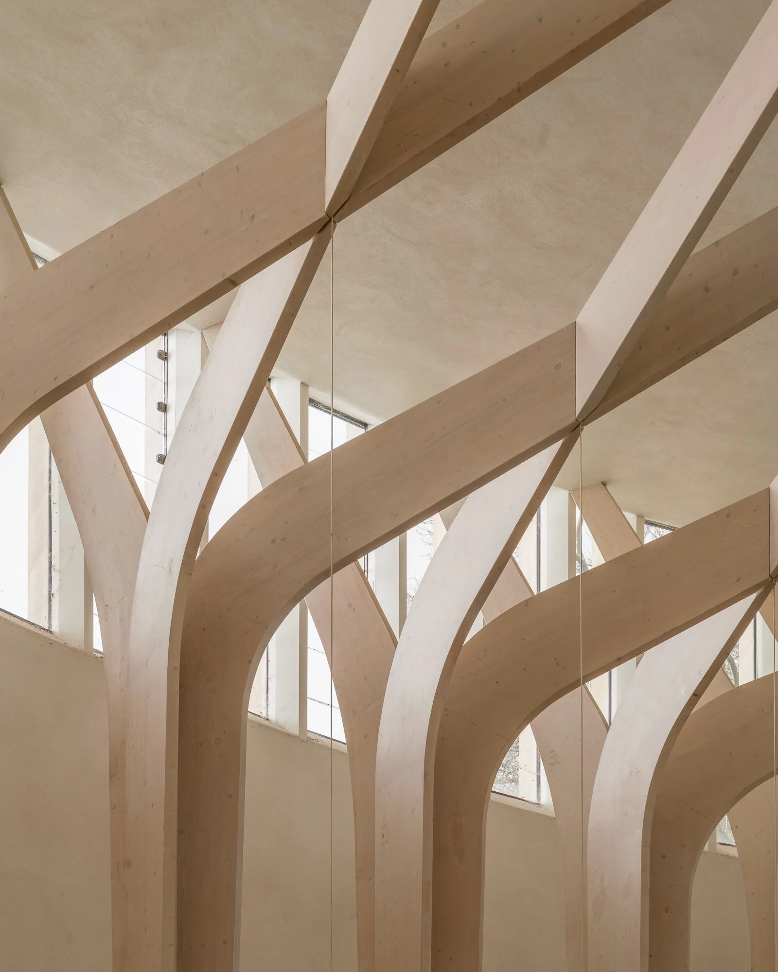 Interior view of wood arches or beams supporting a ceiling near large windows with natural light.