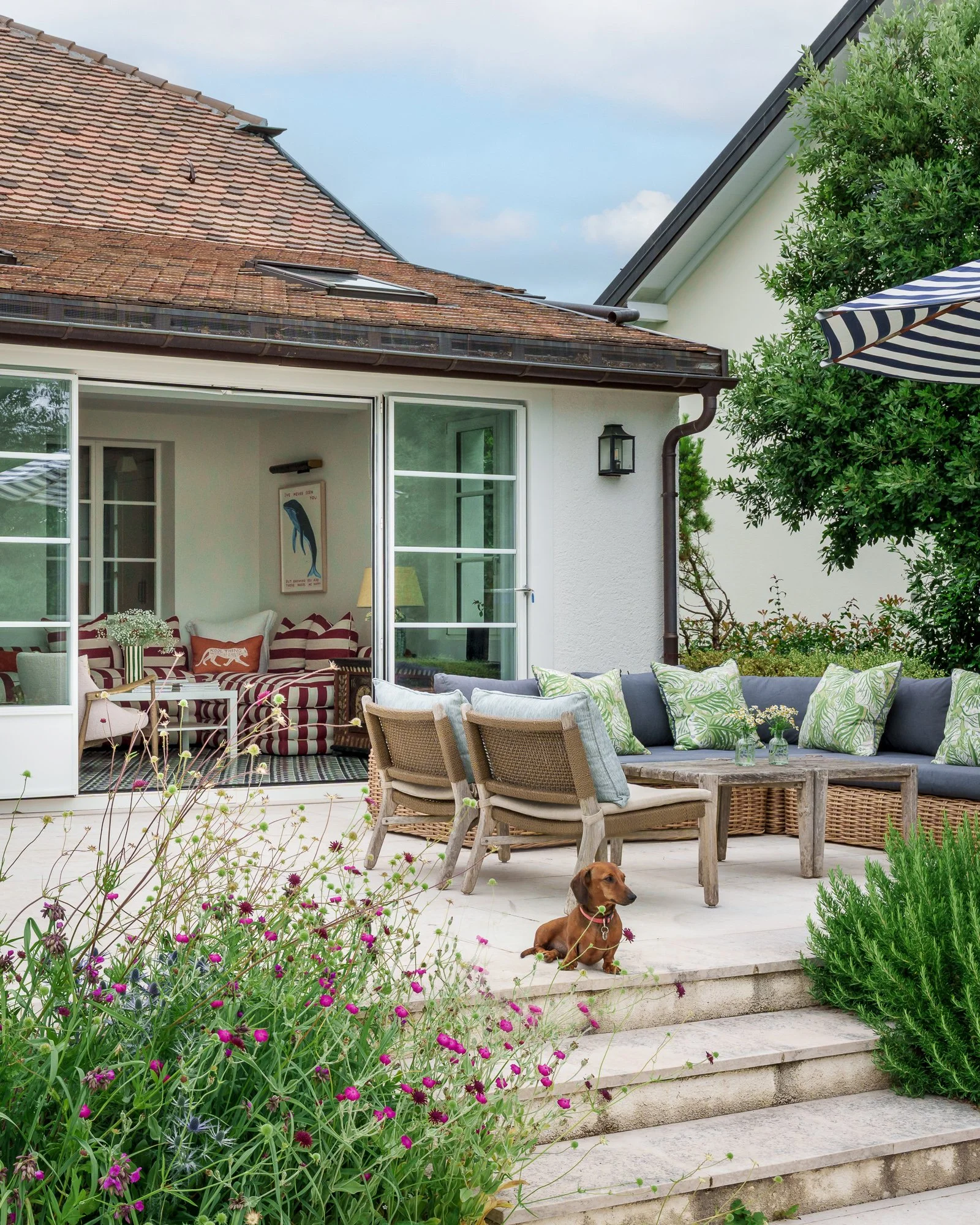 A backyard patio with outdoor furniture and plants. A brown dog with a red collar is sitting on the steps. Part of the house with large windows, a sliding door, and a roof with shingles is visible. There are stairs leading down to the patio, with purple flowers in the foreground.