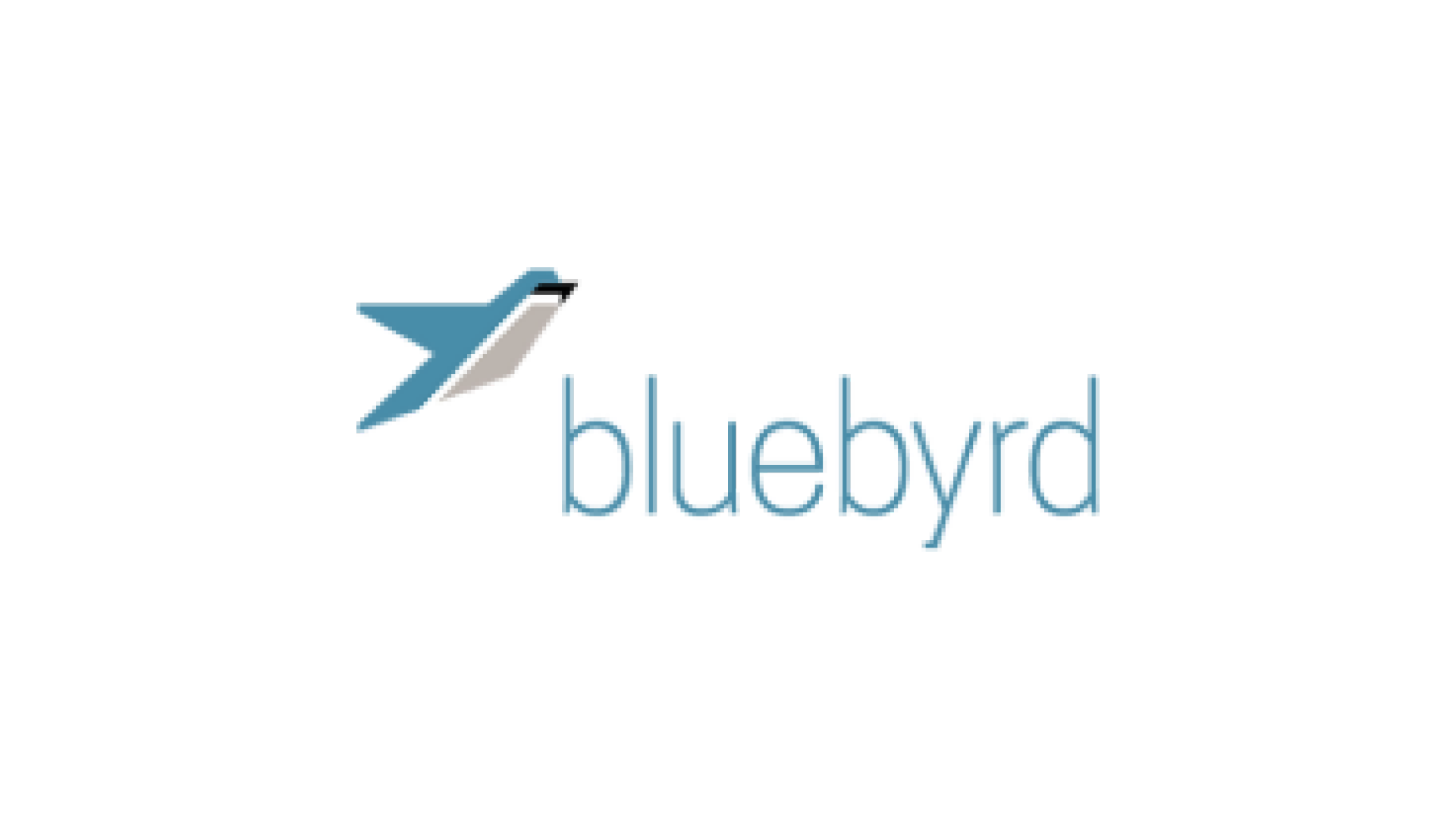 BlueByrd Strategic Sales and Marketing