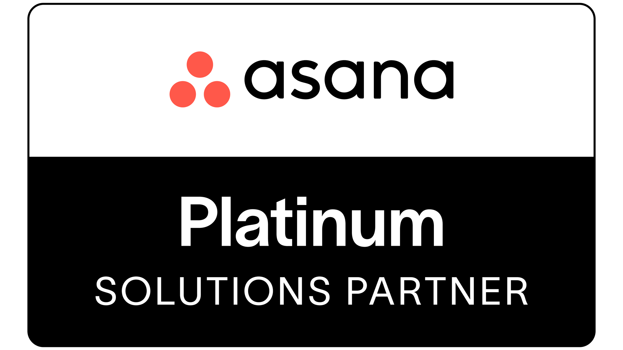 Asana Solutions Partner