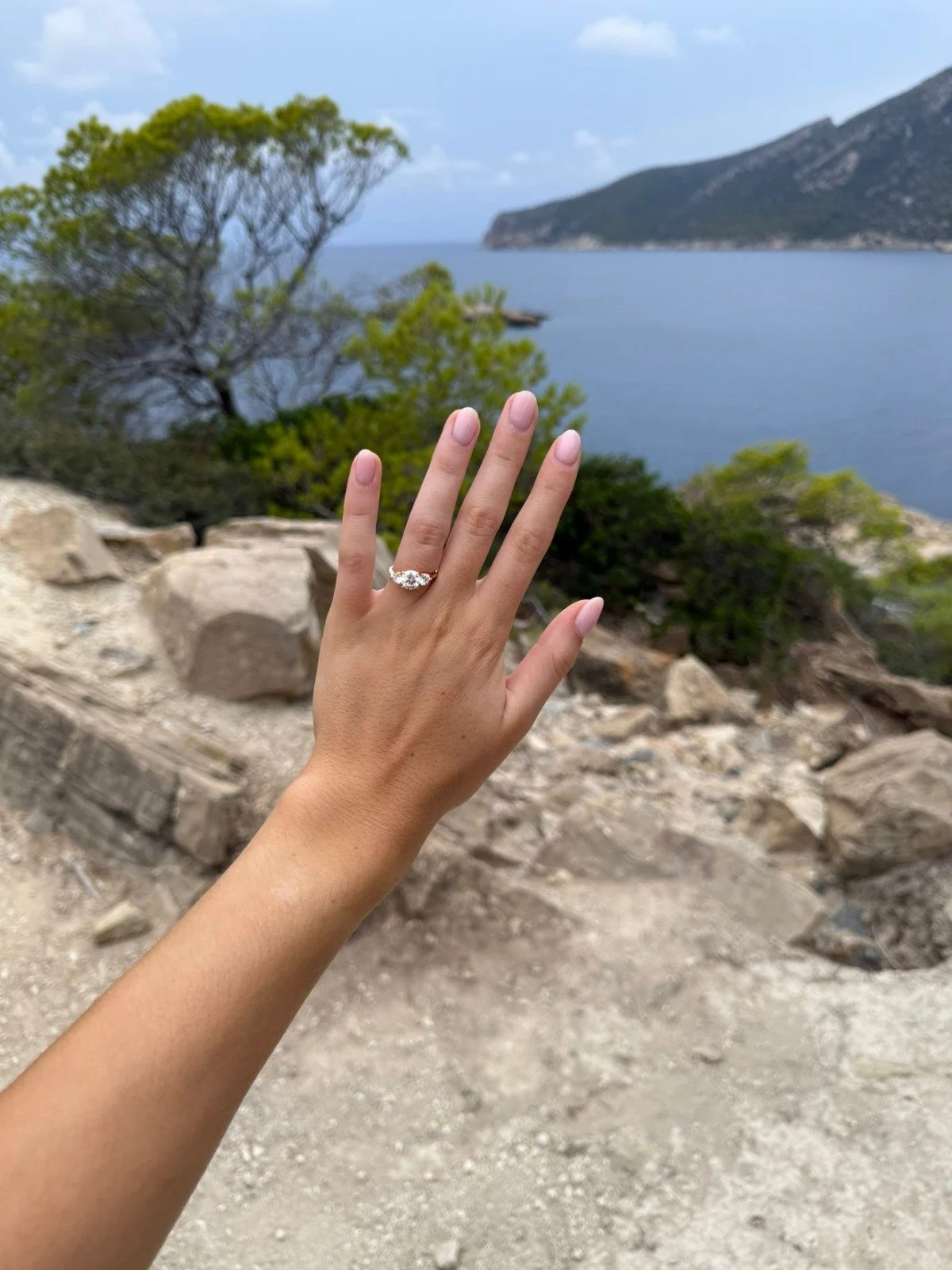 engagement ring proposal pic