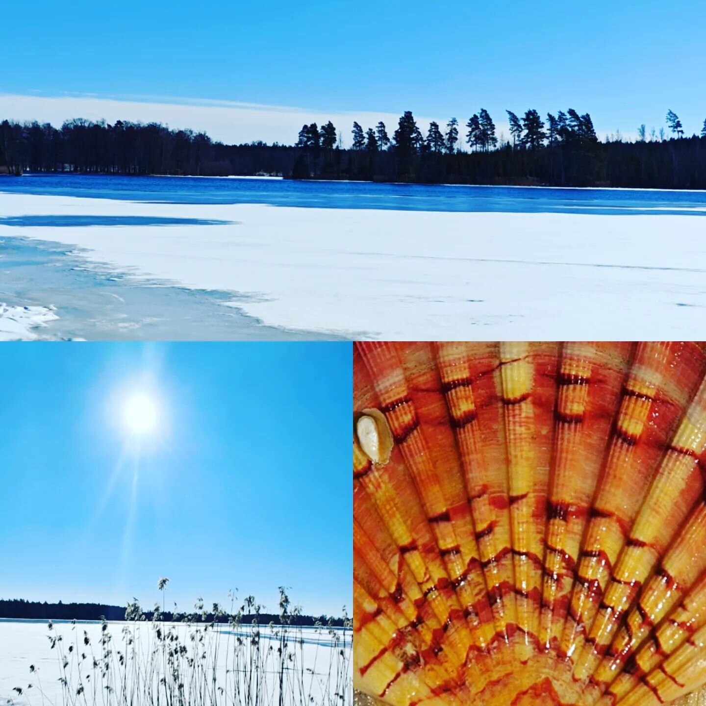 Breaking News: &Auml;ntligen kan vi ber&auml;tta om v&aring;rt nya projekt ihop Marinbiologiska f&ouml;reningen i Rudskoga. Genom att anv&auml;nda &ouml;verskotts v&auml;rmen fr&aring;n v&aring;ra frysar &auml;r det nu m&ouml;jligt att h&aring;lla en